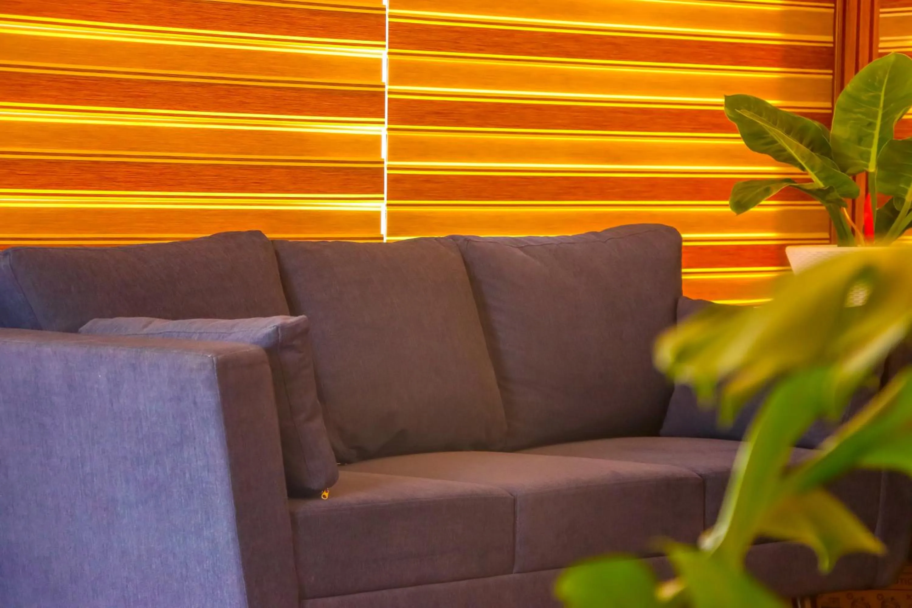 Lobby or reception in Winter Note Resorts