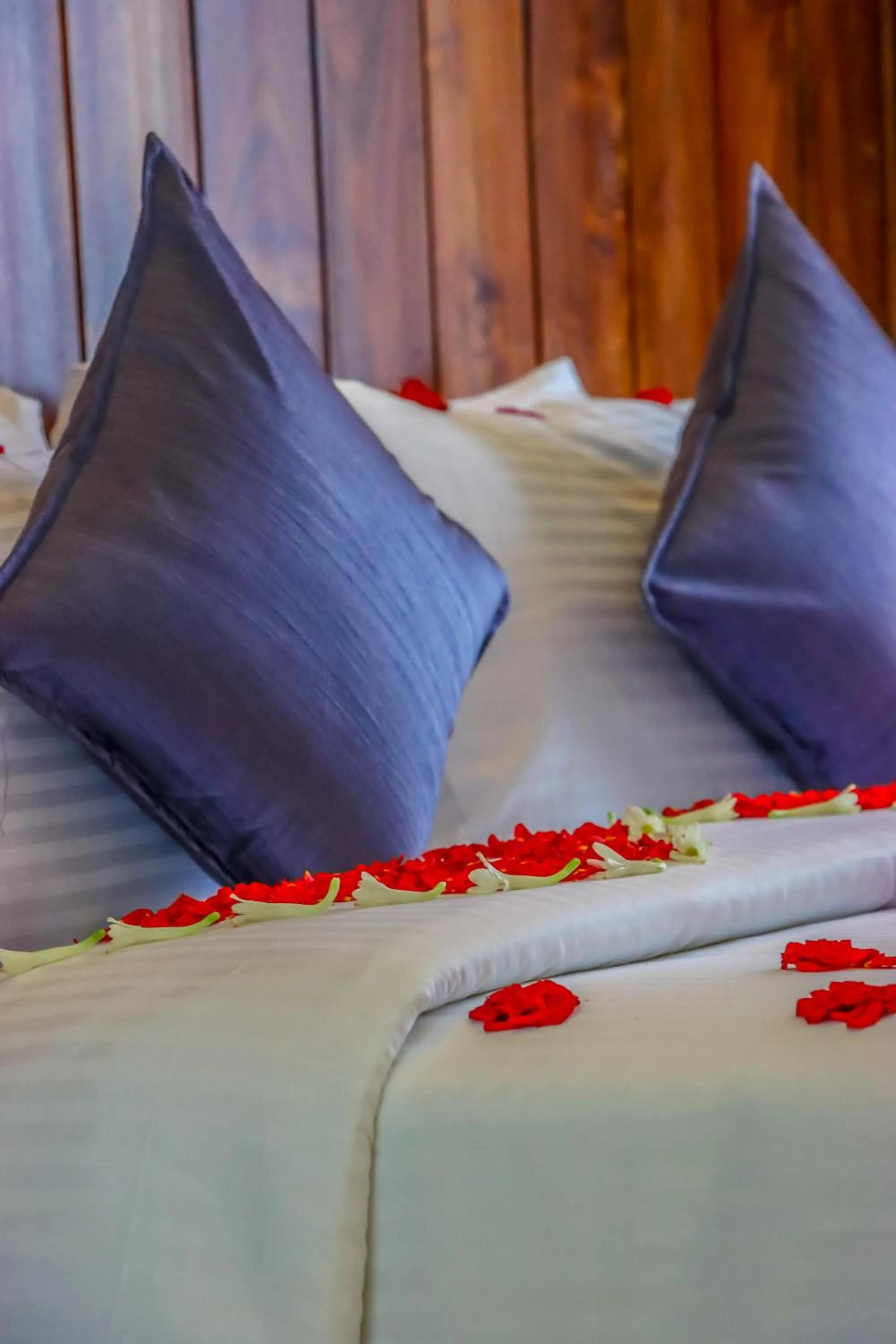 Bed in Winter Note Resorts