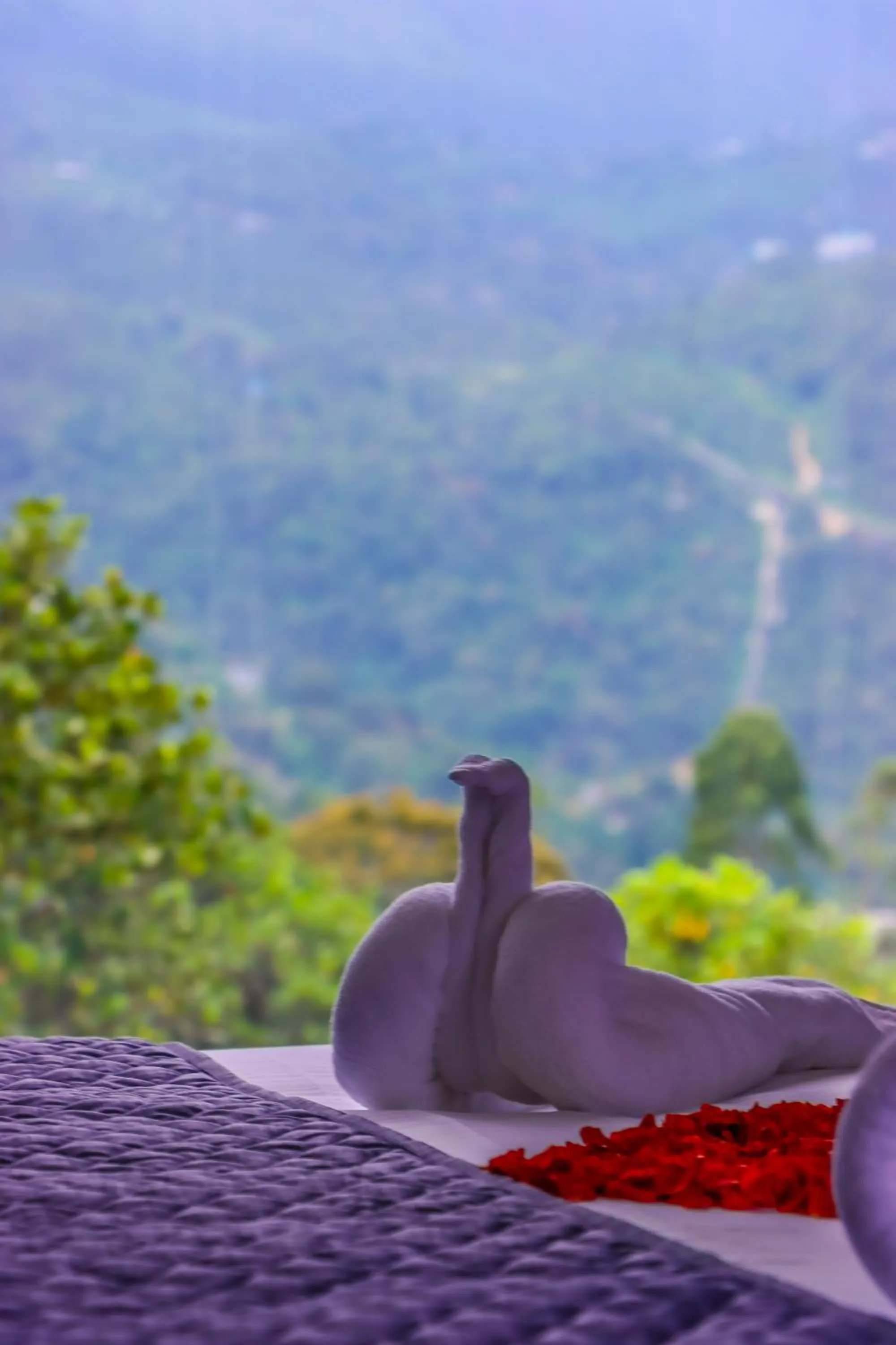 Mountain view in Winter Note Resorts