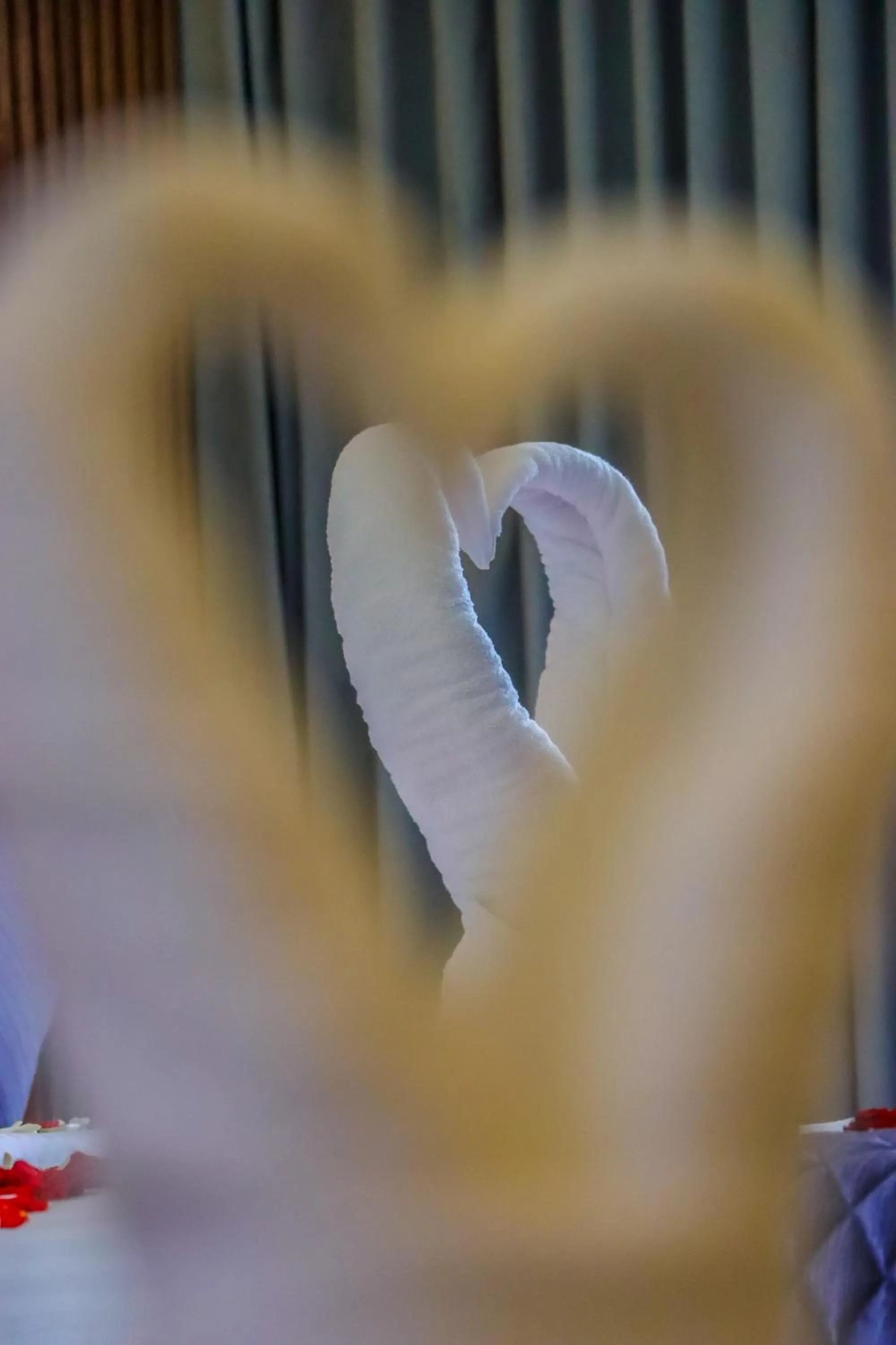 Bed in Winter Note Resorts