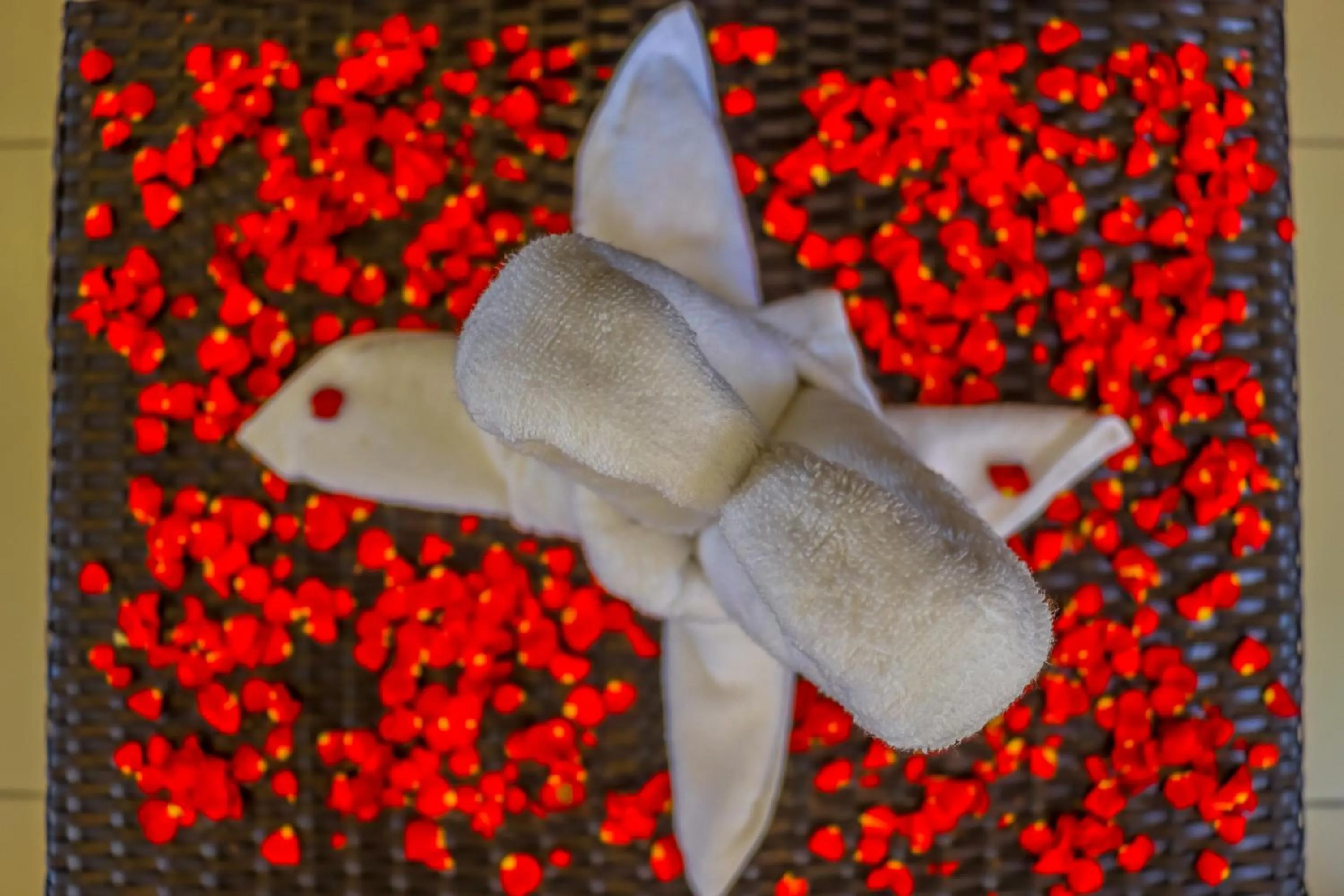 Decorative detail in Winter Note Resorts