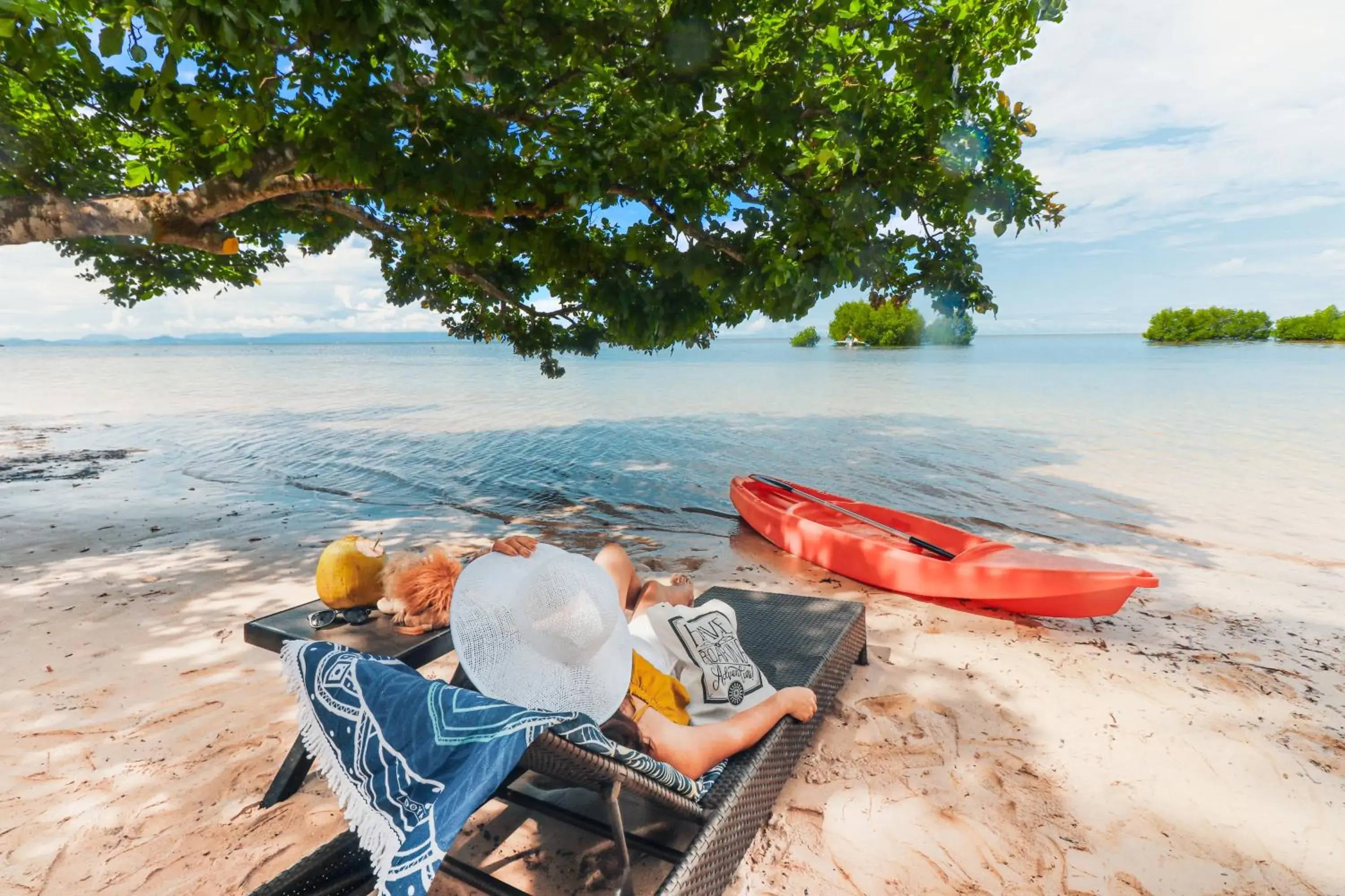 The Funny Lion - Puerto Princesa The Funny Lion - Puerto Princesa