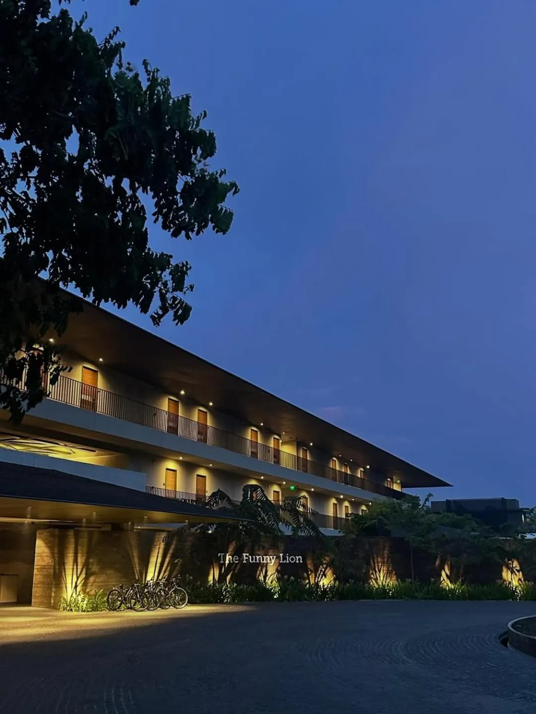 The Funny Lion - Puerto Princesa