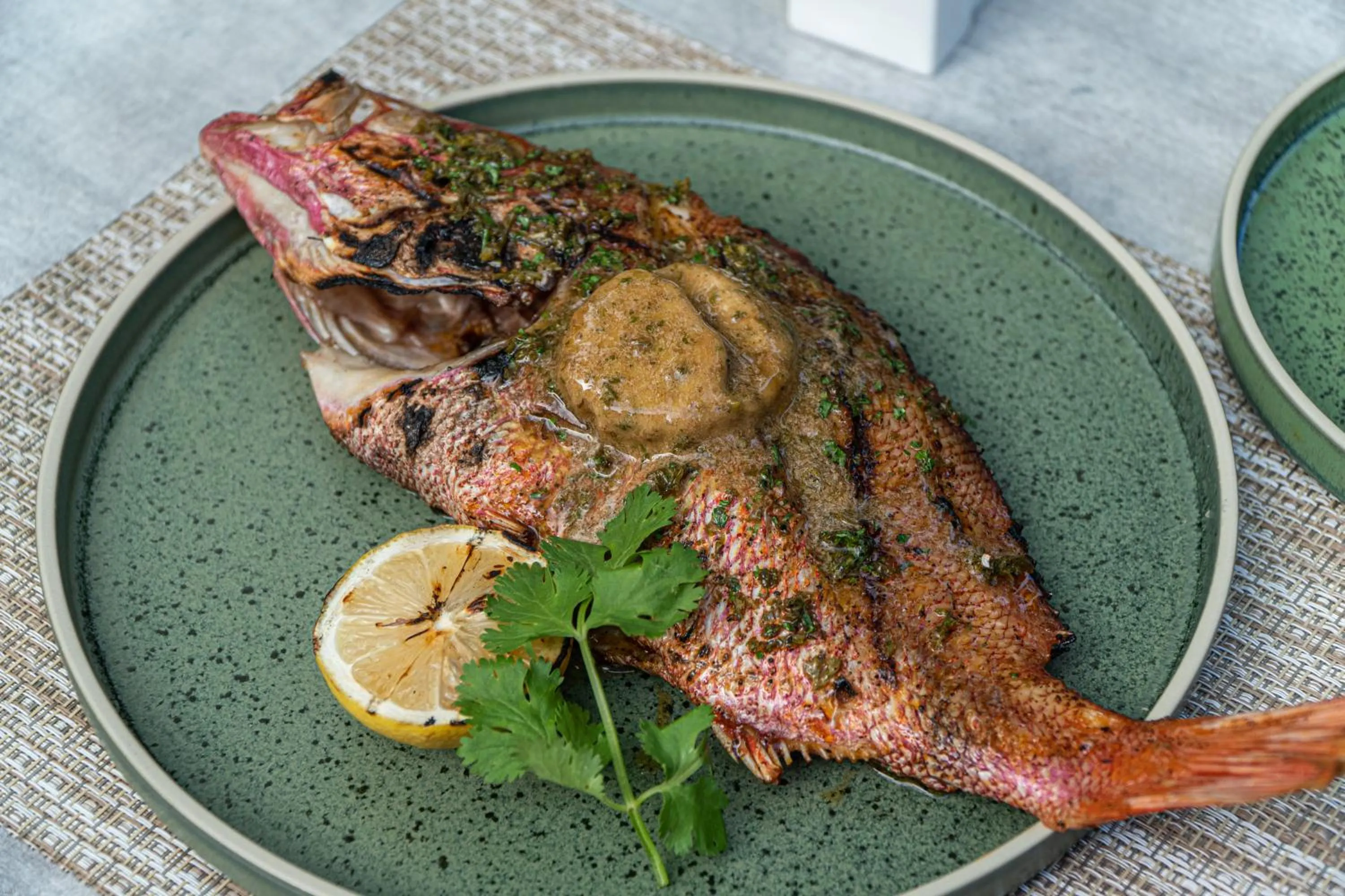 The Funny Lion - Puerto Princesa