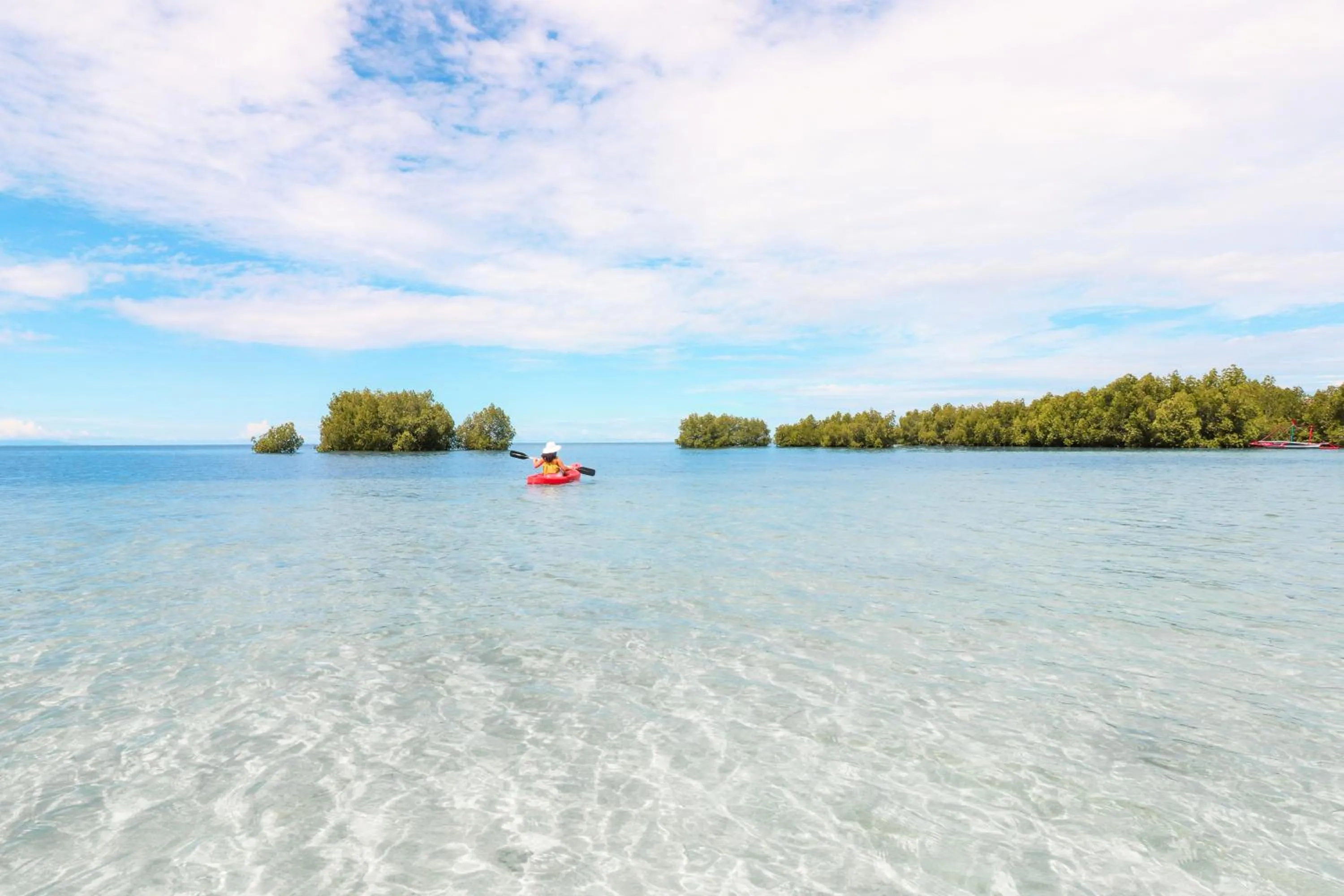 The Funny Lion - Puerto Princesa