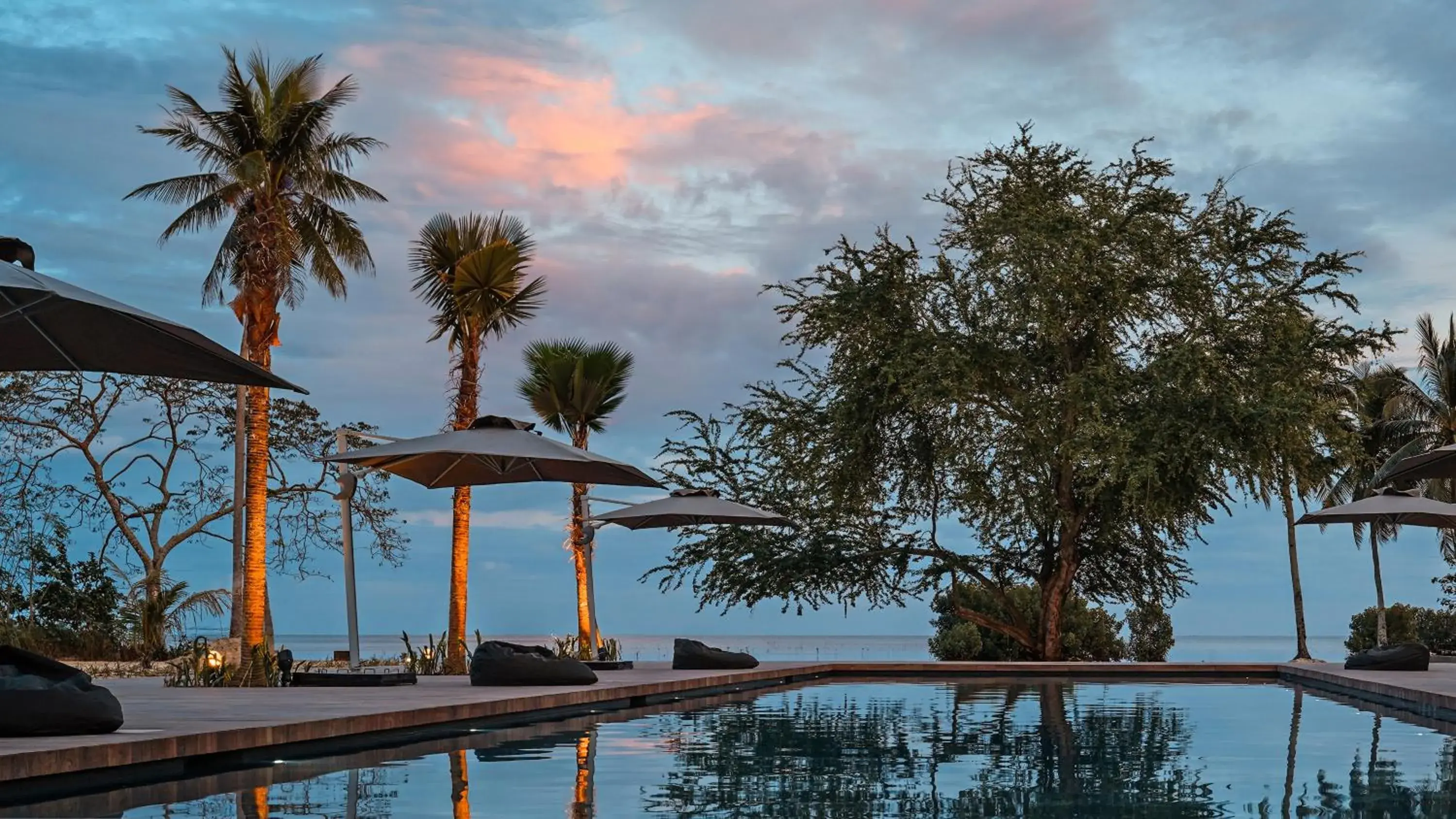 The Funny Lion - Puerto Princesa The Funny Lion - Puerto Princesa