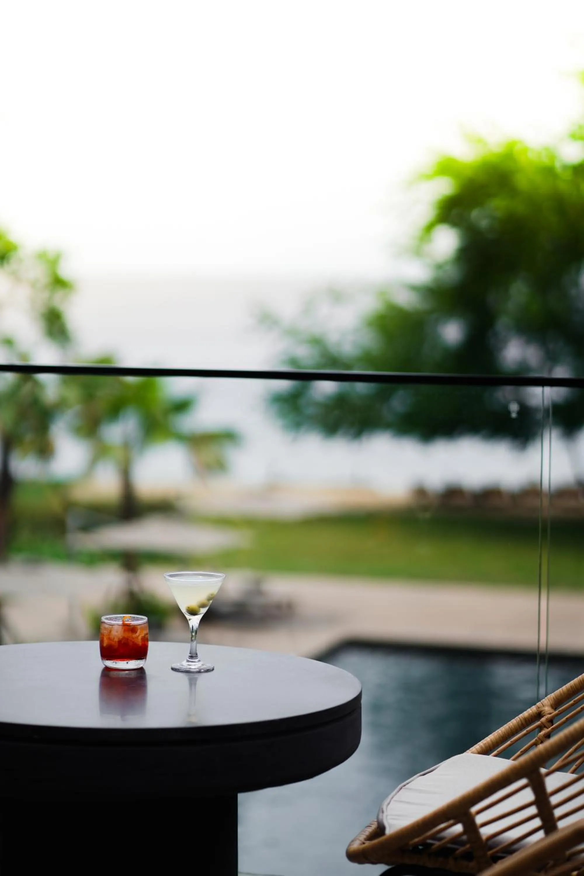 The Funny Lion - Puerto Princesa