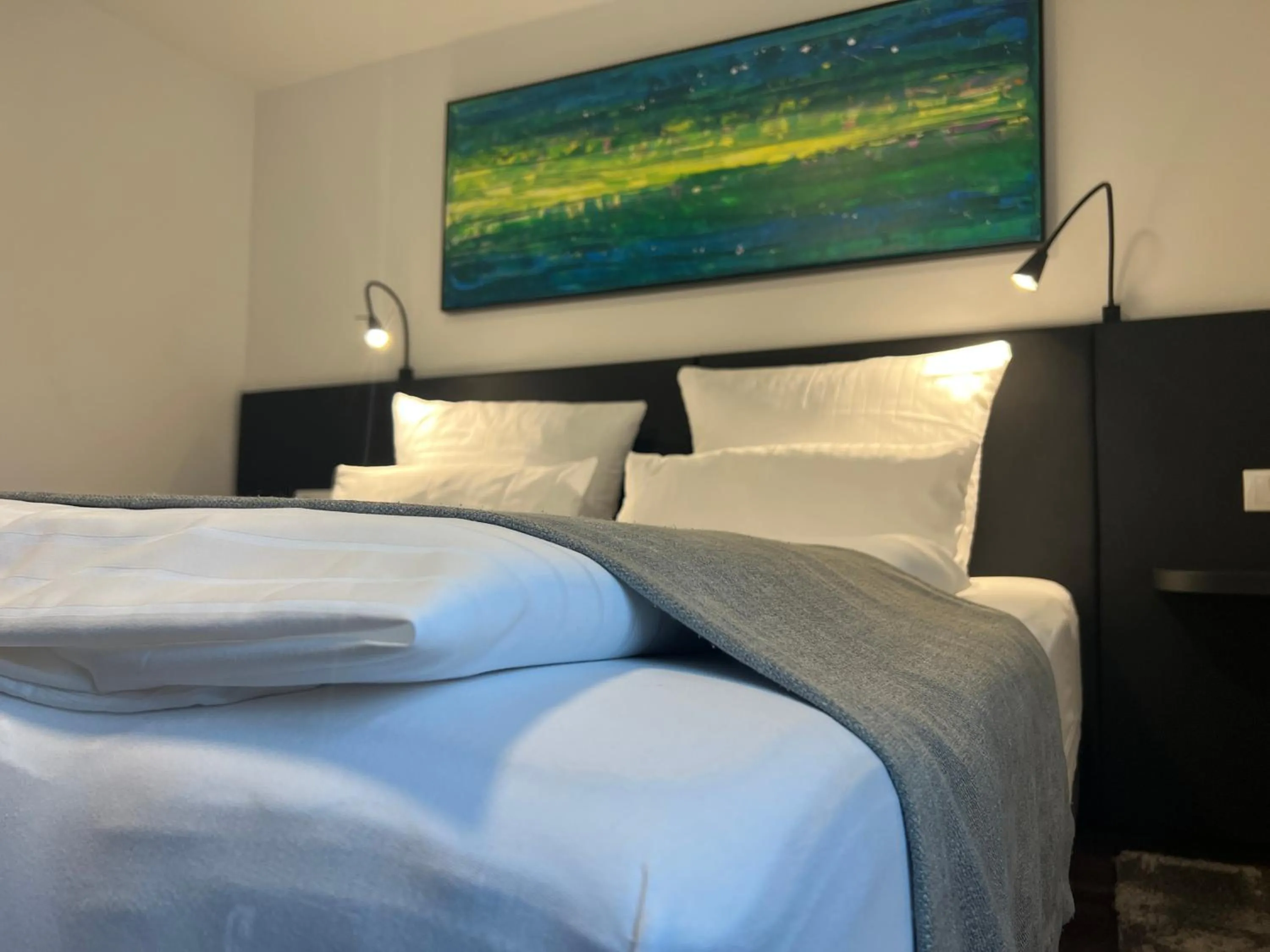 Double Room with Private Bathroom in Hotel Restaurant Kreuz Spaichingen