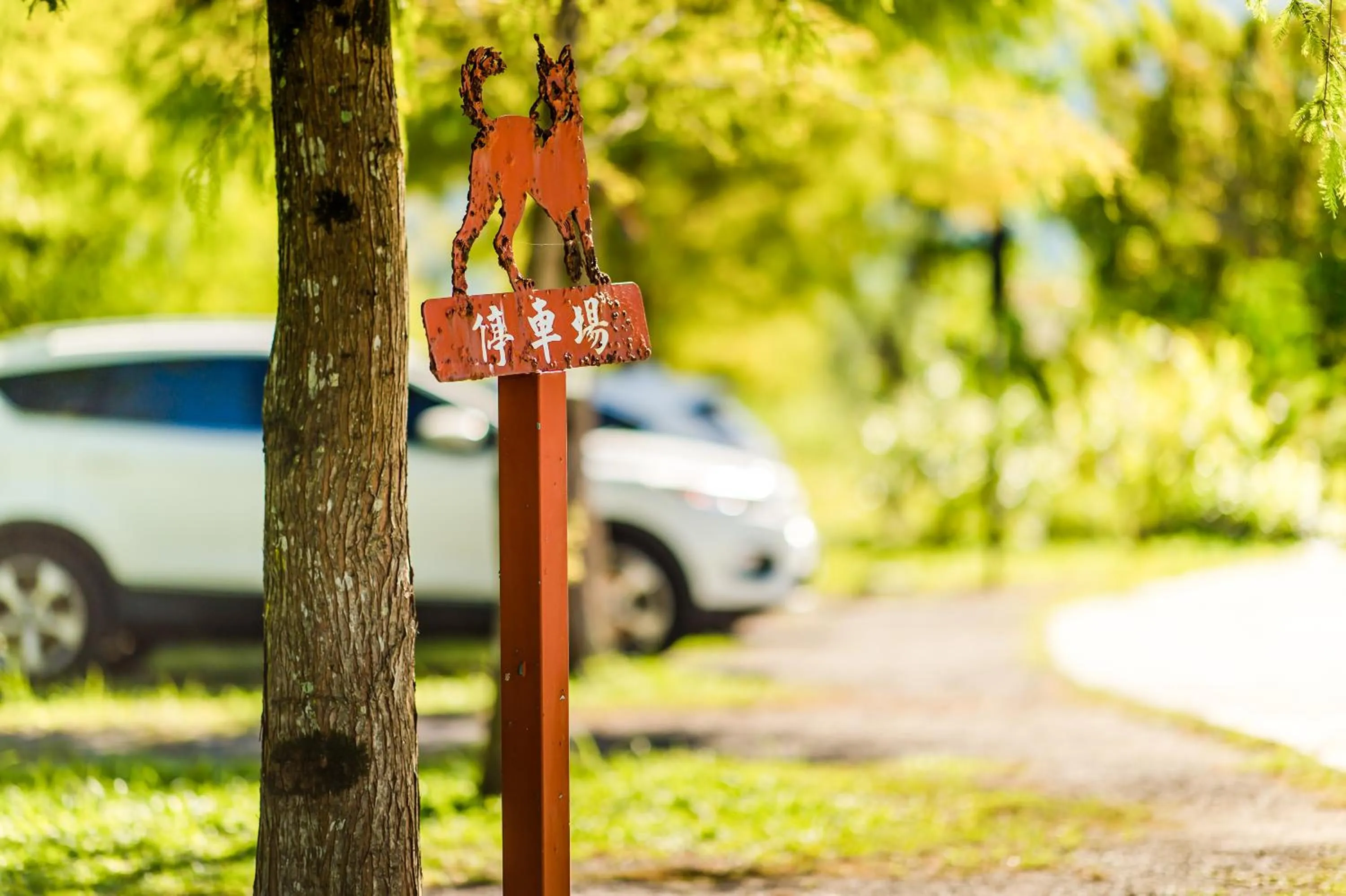 Parking in Wilderness1138 Hualien B&B
