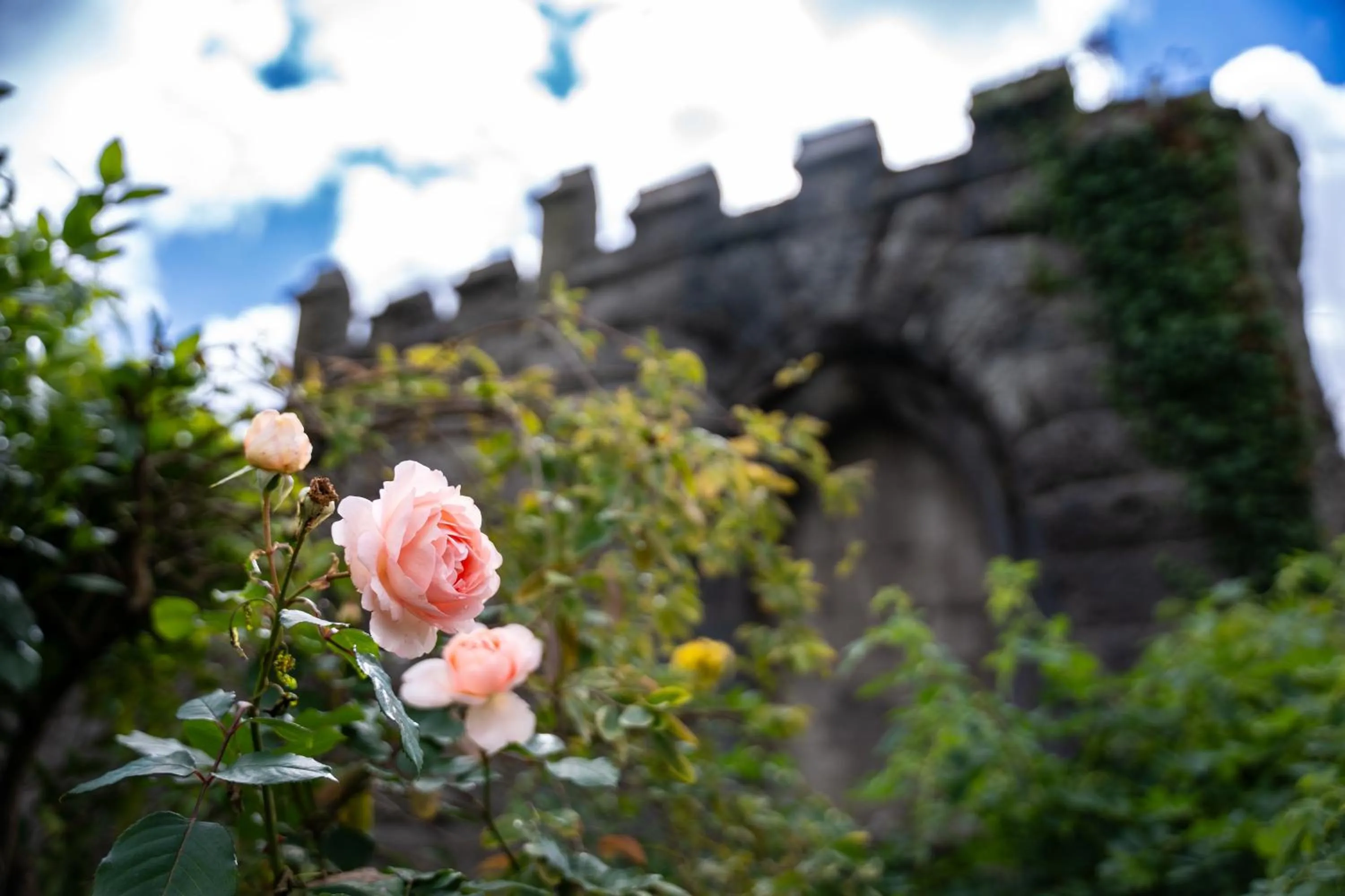 Day in Lonsdale House Boutique Apartments