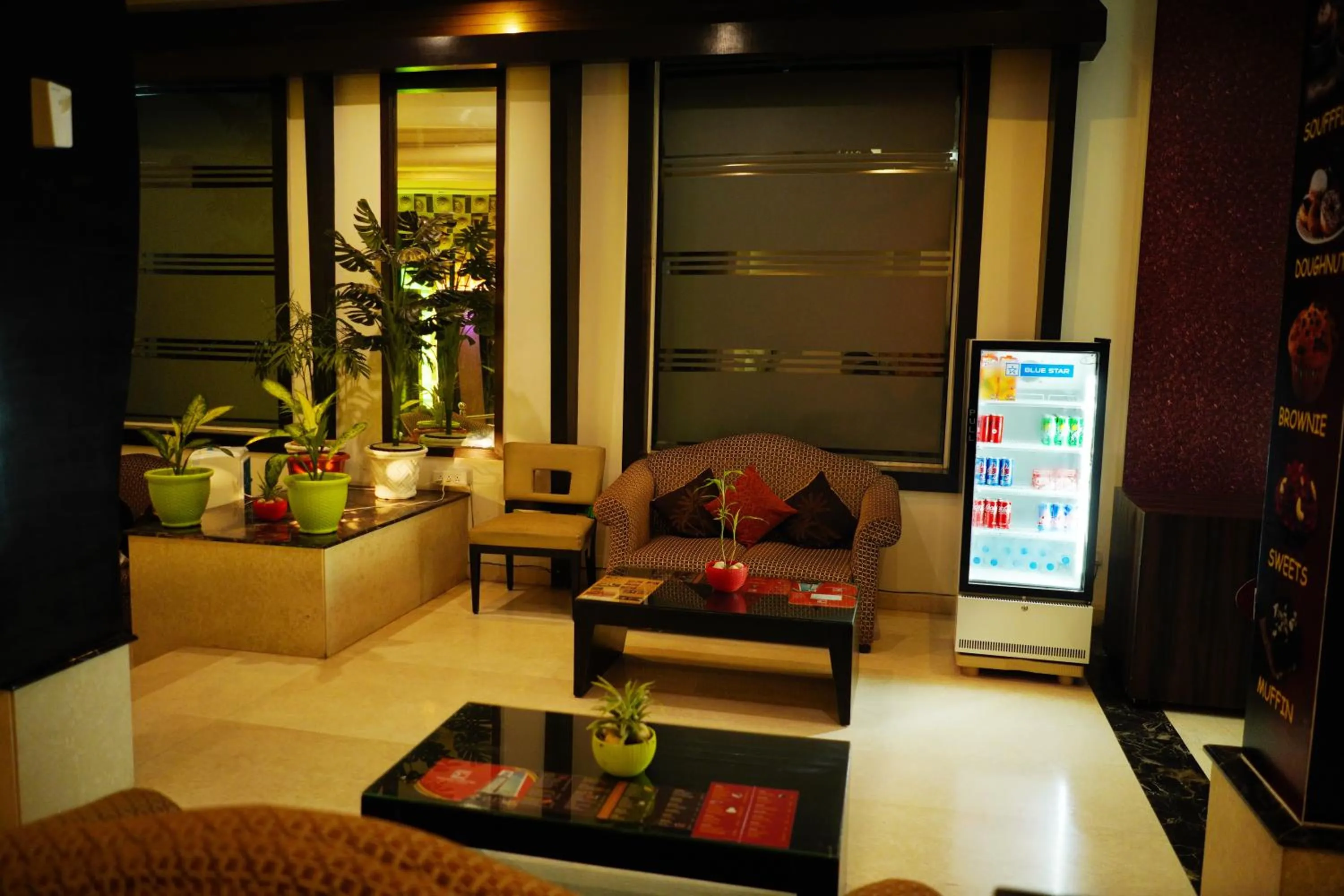 TV and multimedia in The Vaishnavi