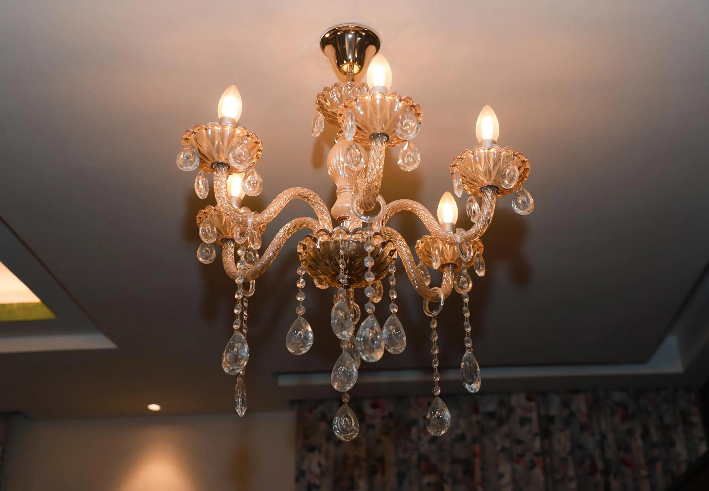 Decorative detail in The Vaishnavi