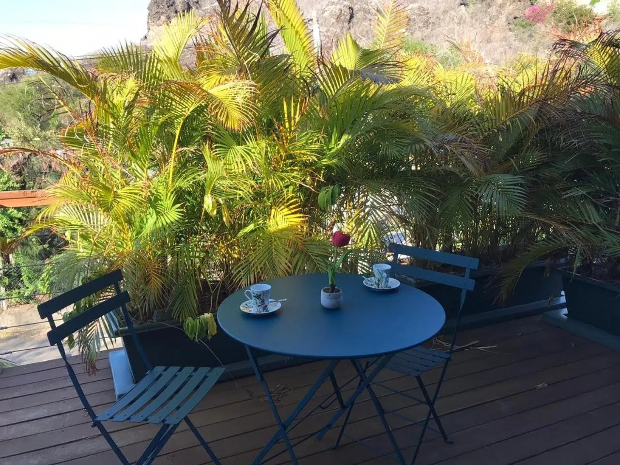 Balcony/Terrace in Appartement Artistique de Boucan Canot
