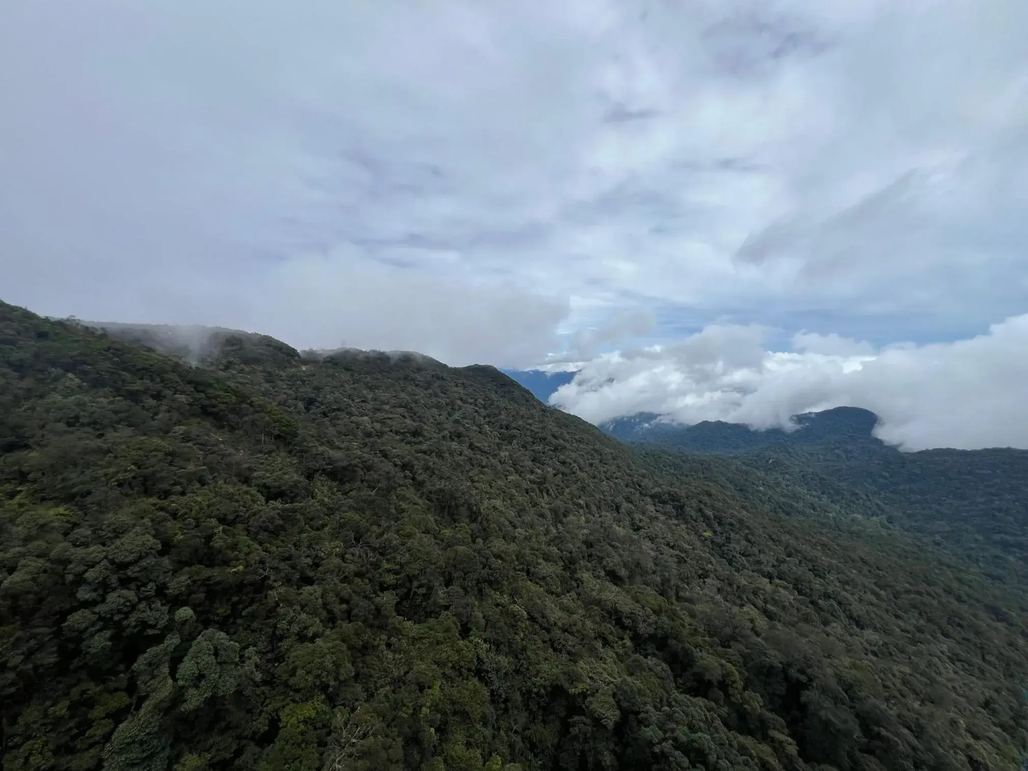 Mountain view in QUINCE HOME GRAND ION DELEMEN GENTING HIGHLANDs Mountain view in QUINCE HOME GRAND ION DELEMEN GENTING HIGHLANDs