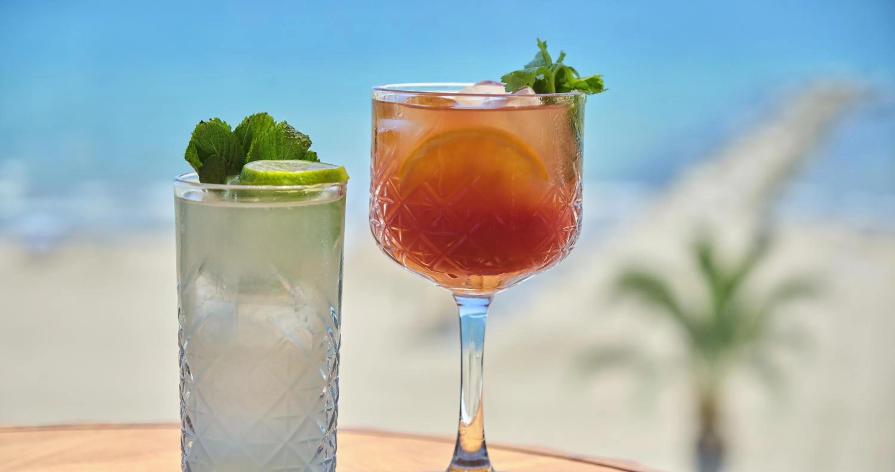 Food and drinks in ESTIMAR Marina Farnals