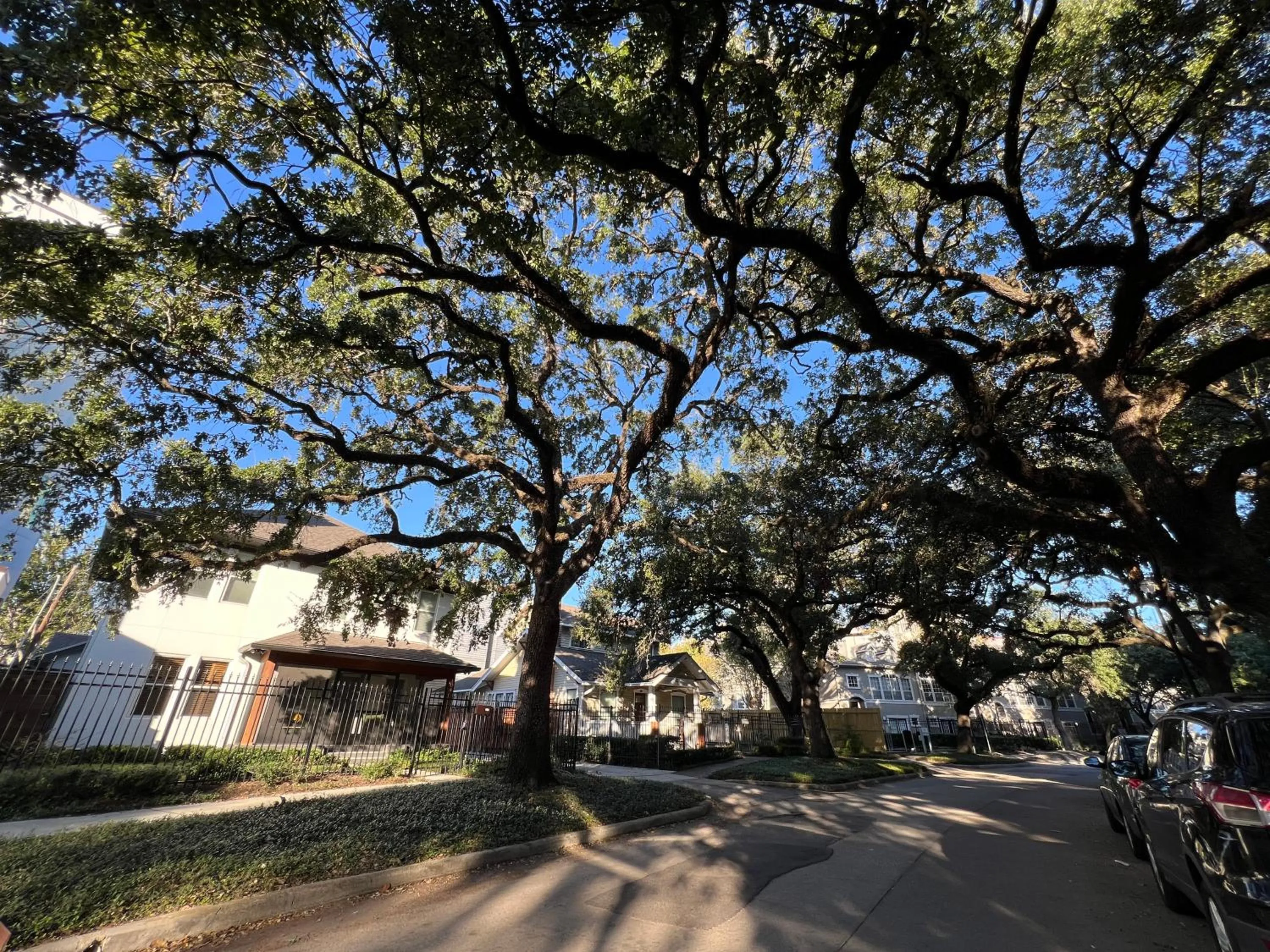 Property building in MyCrib Houston Hostel