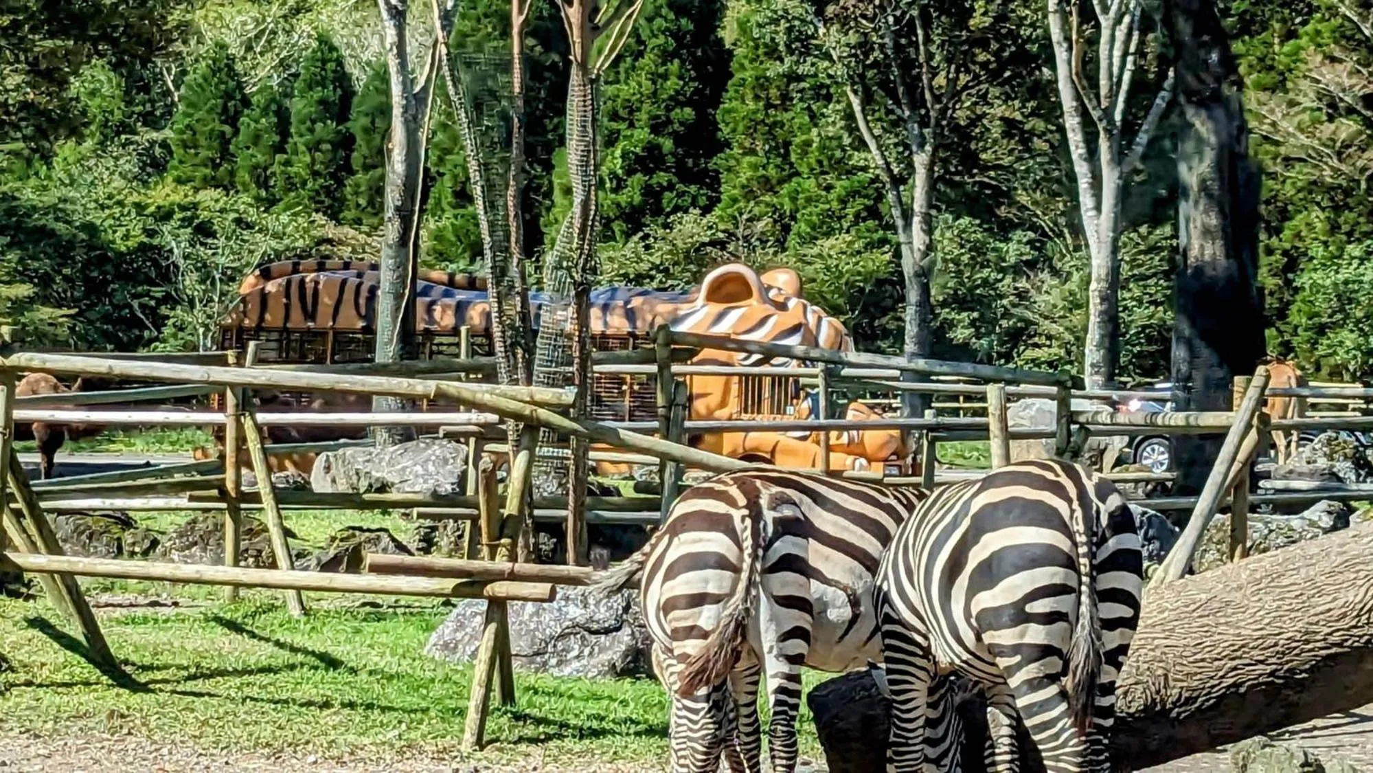 Nearby landmark in Toyoko Inn Gotemba Ekimae