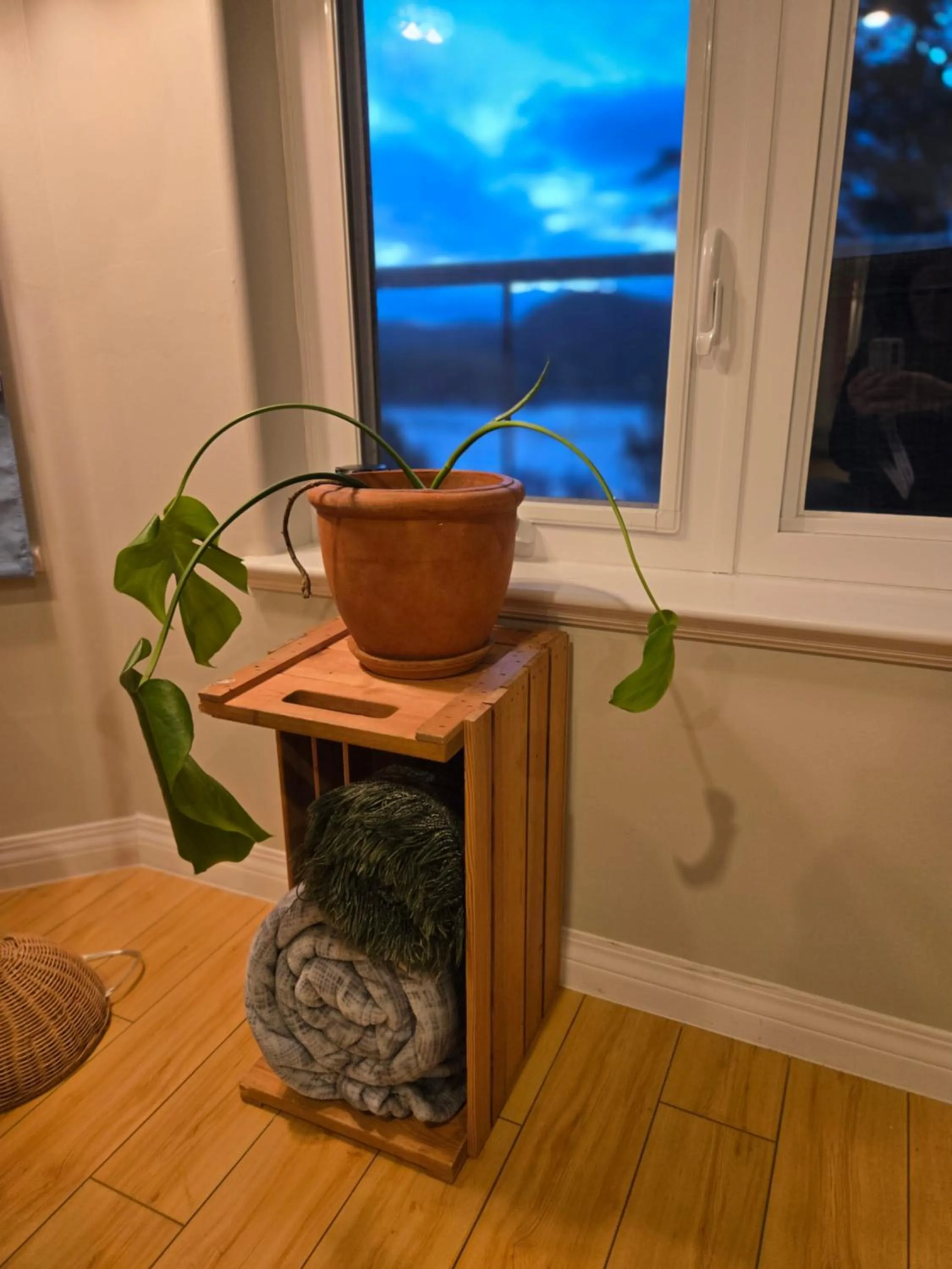 Madeira Park Oceanview Suites