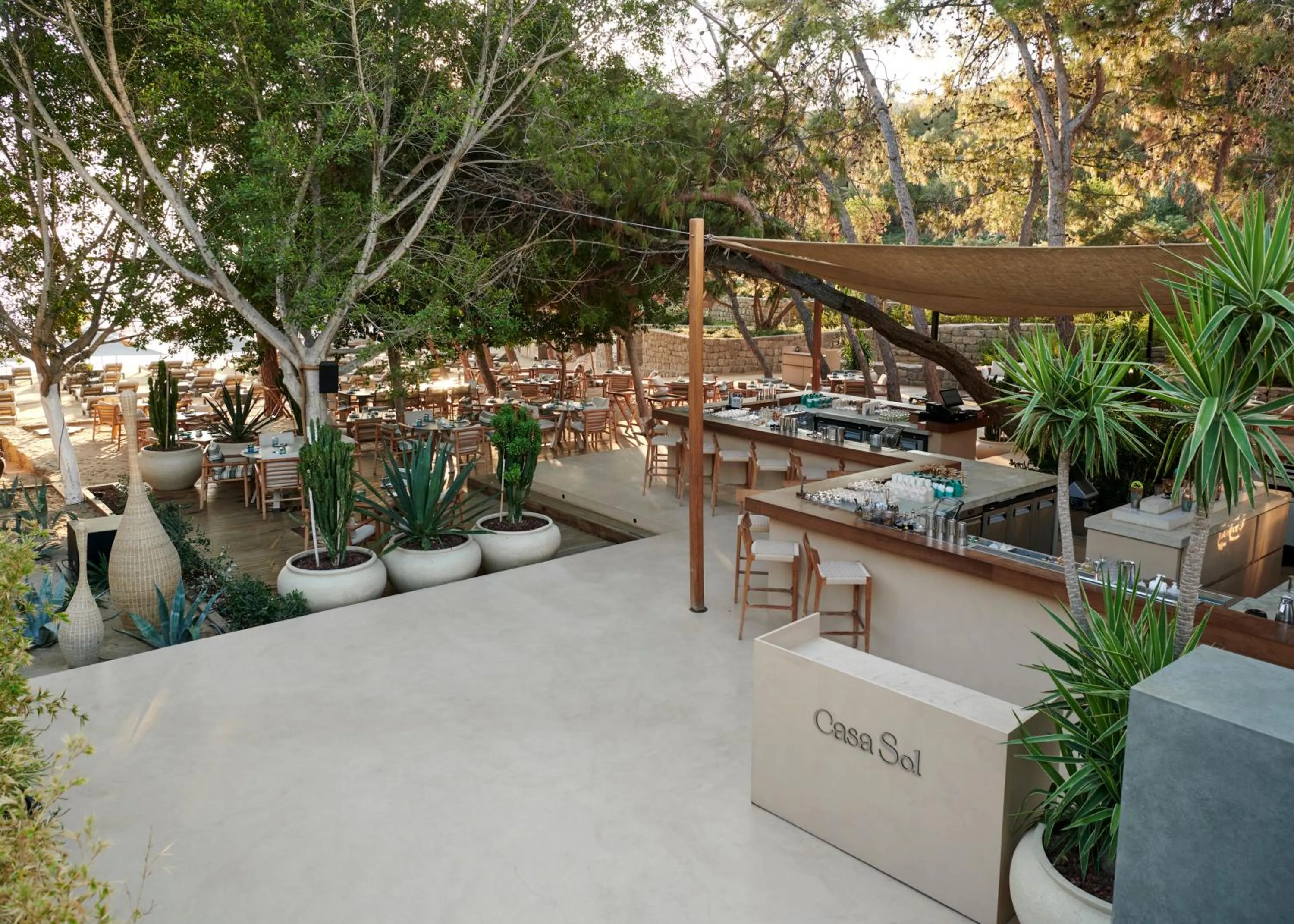 Restaurant/places to eat in Maxx Royal Bodrum