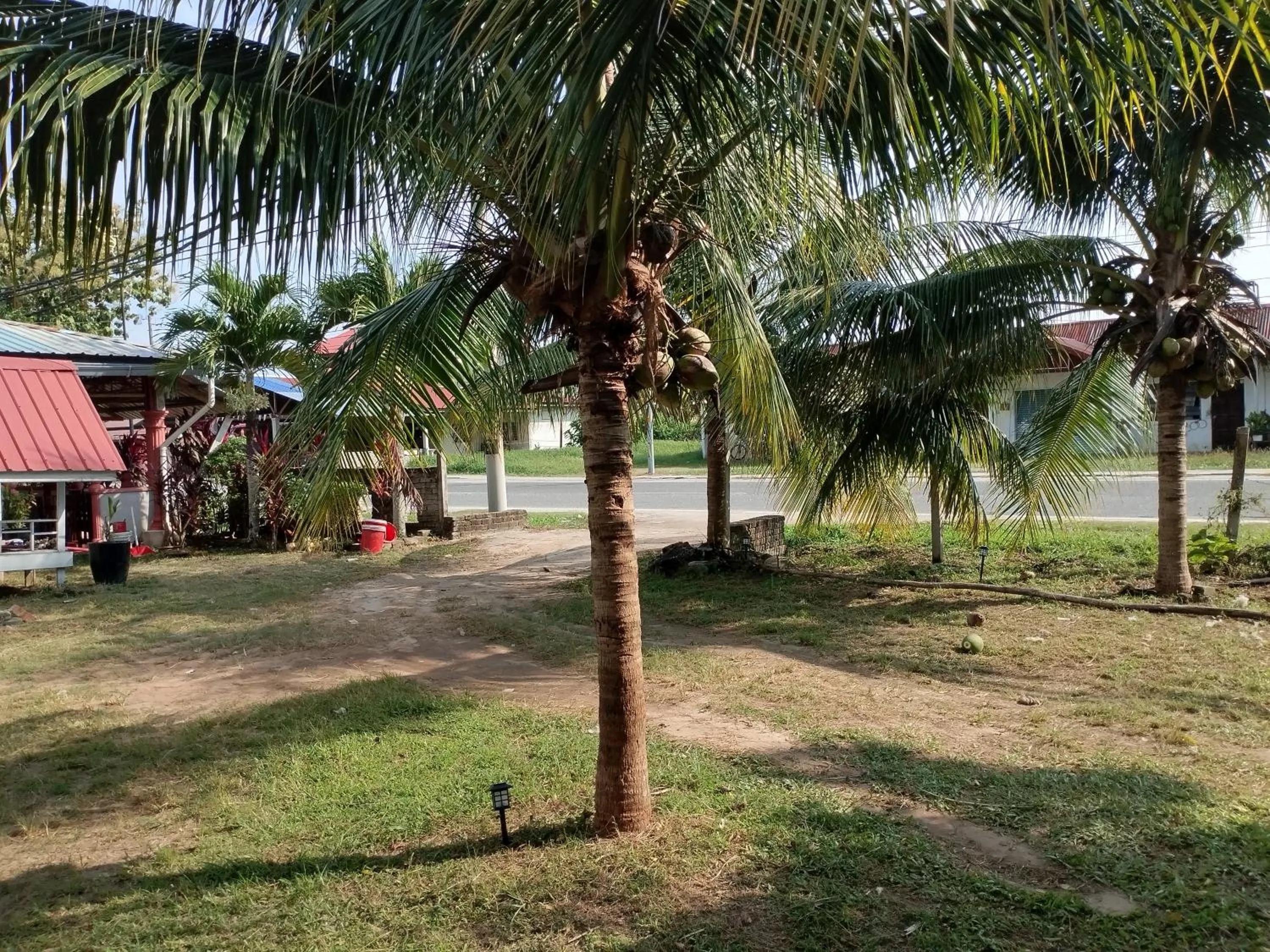 Natural landscape in Bohok Guesthouse