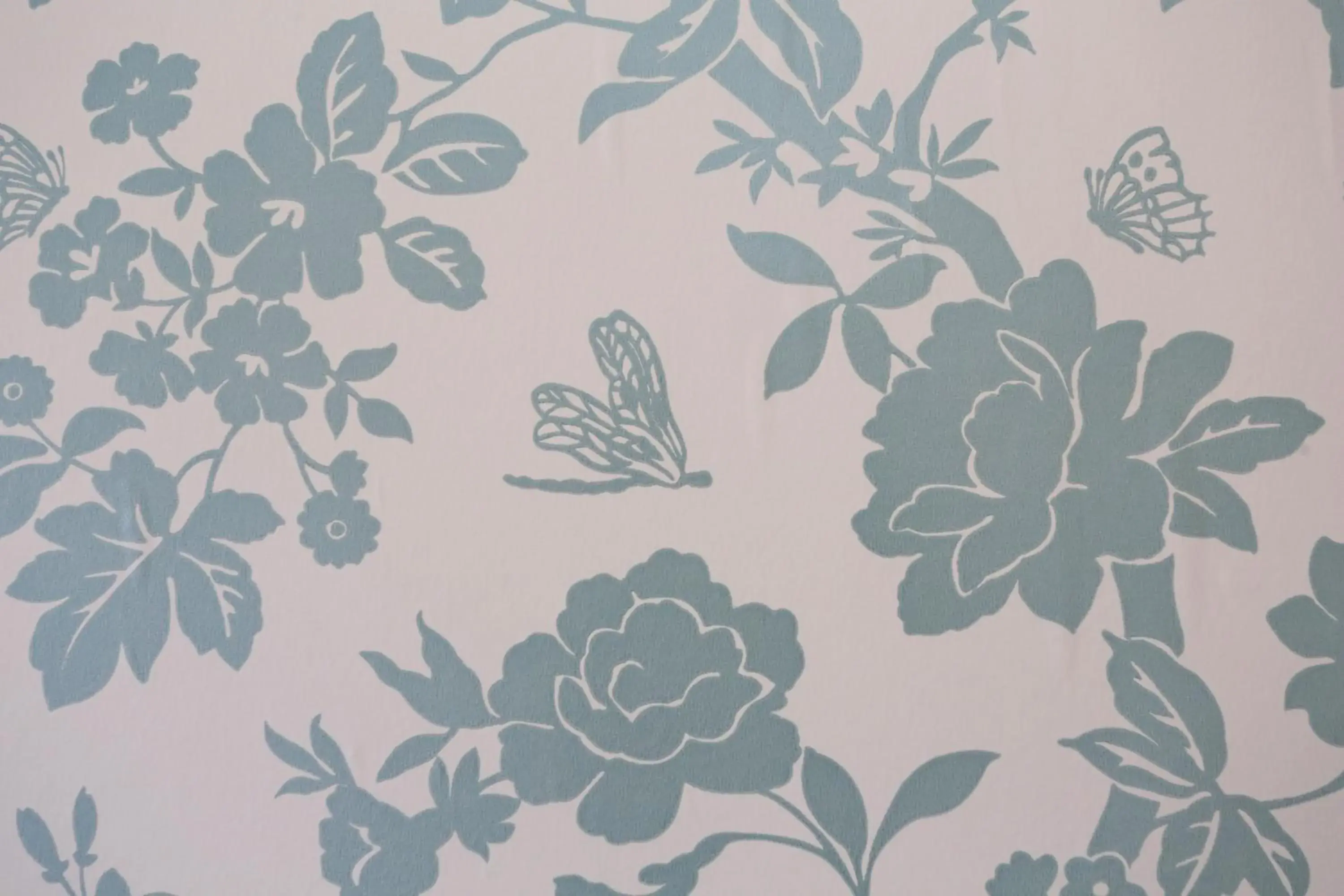 Single Room with Compact Bathroom in Dorset Hotel, Isle of Wight Single Room with Compact Bathroom in Dorset Hotel, Isle of Wight