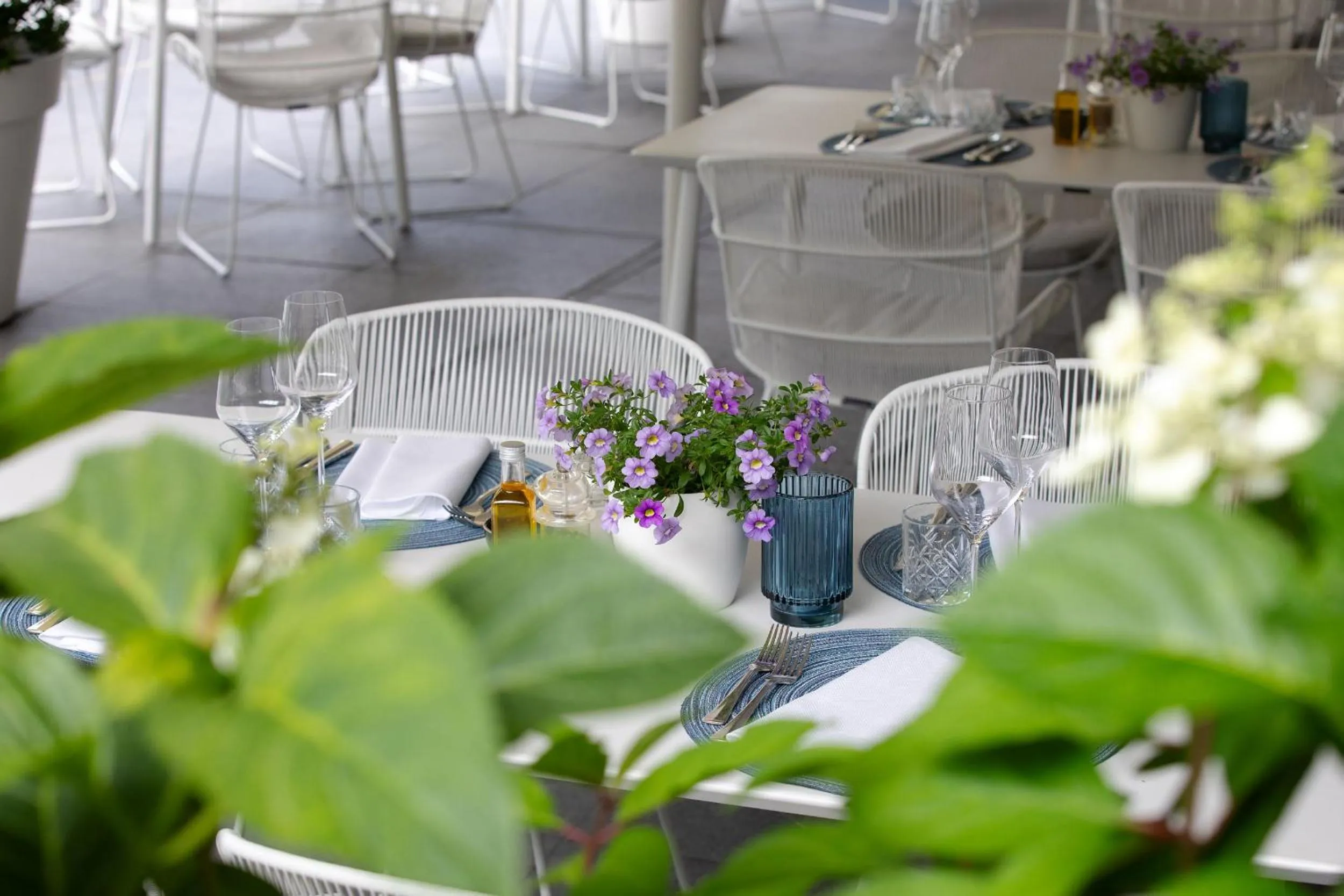 Restaurant/places to eat in Landgoed de Rosep