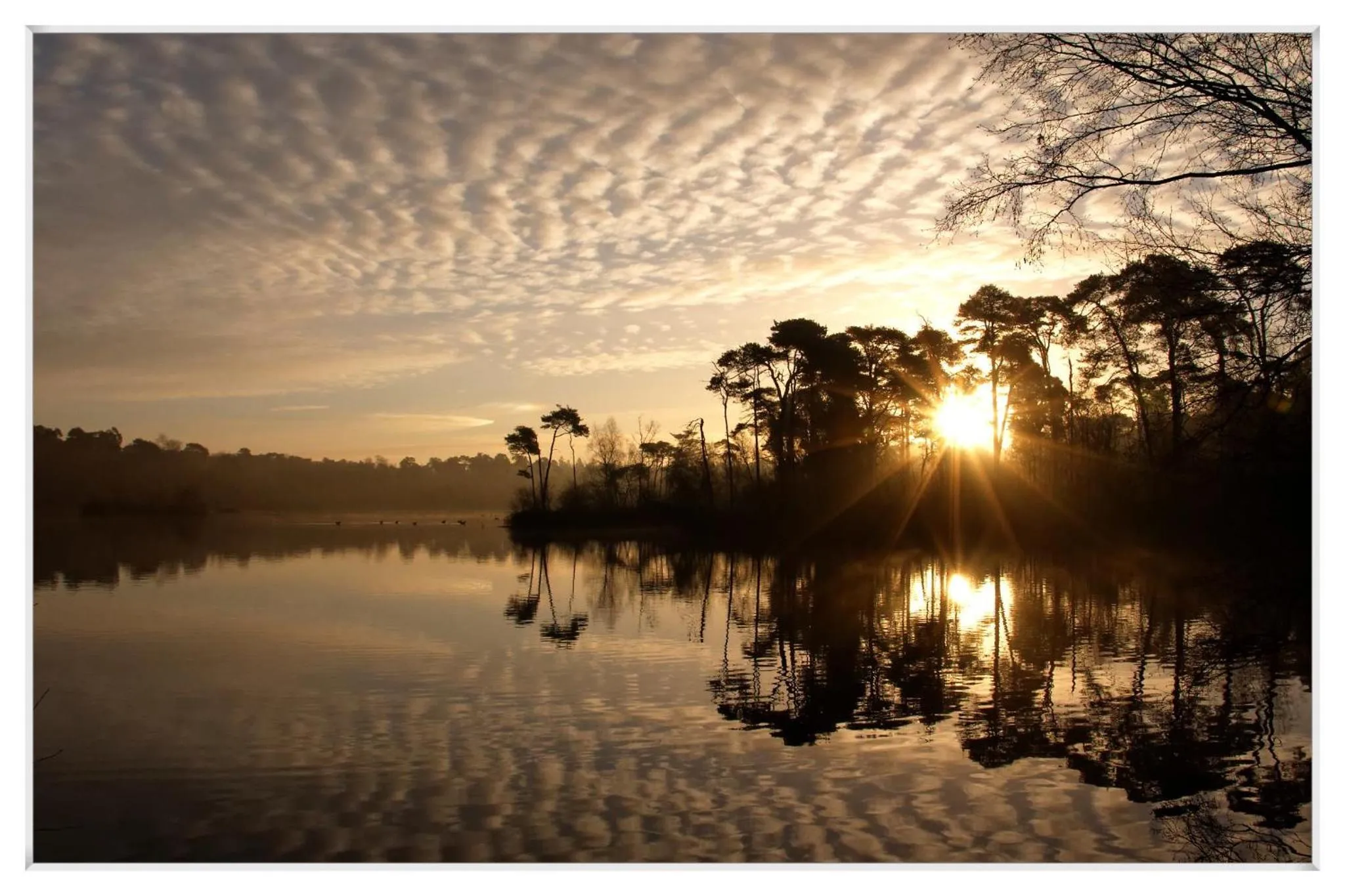 Neighbourhood in Landgoed de Rosep