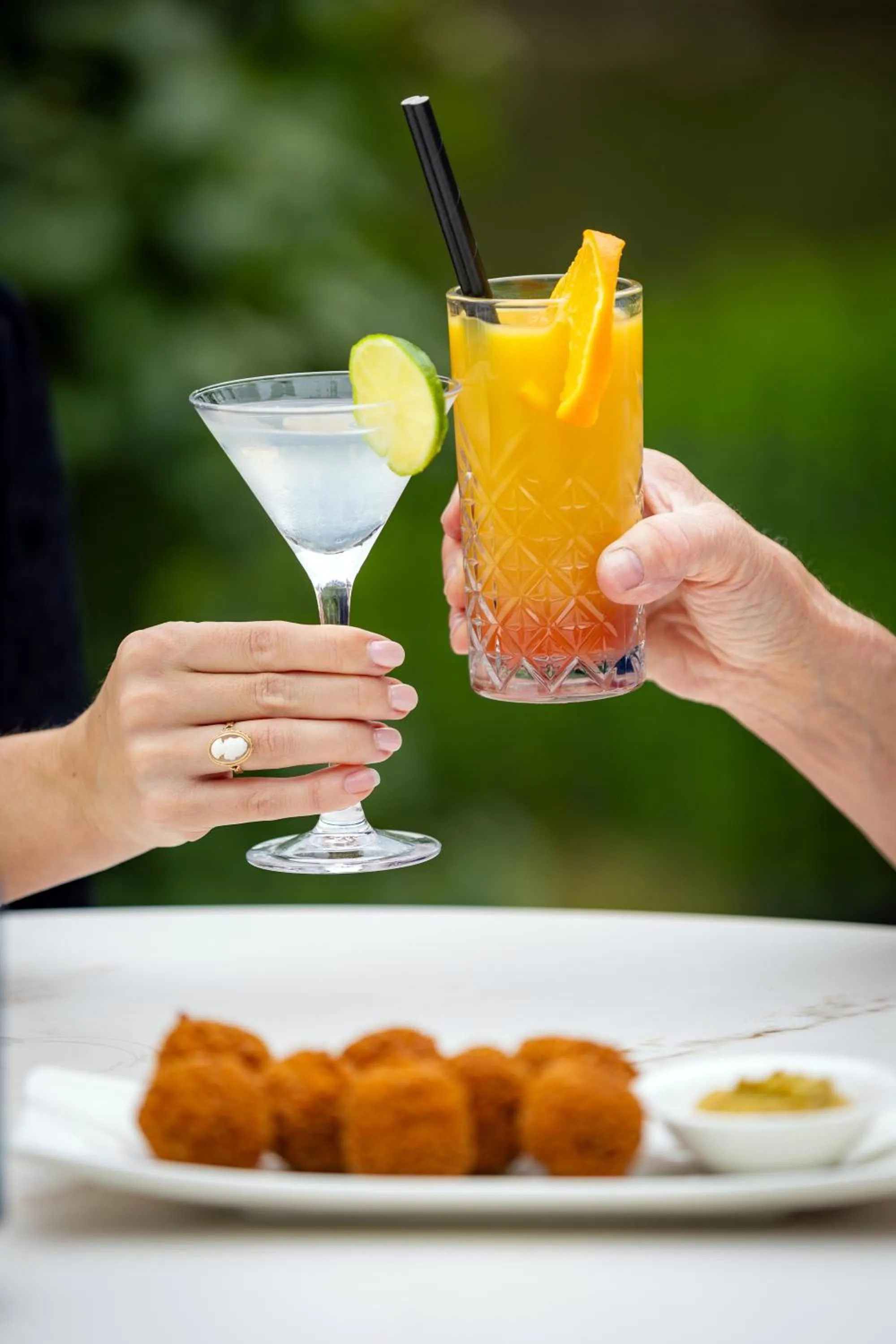 Drinks in Landgoed de Rosep