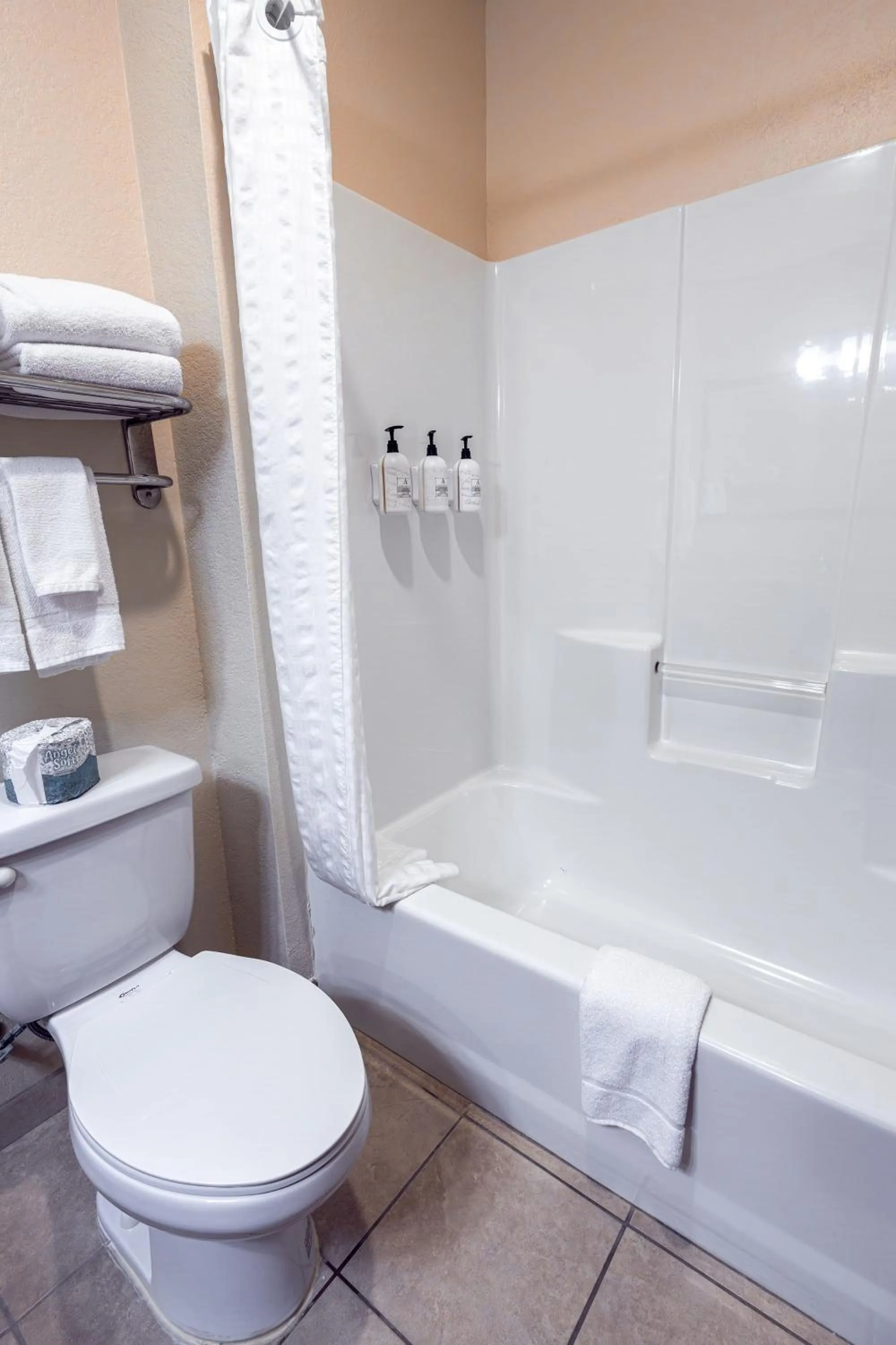 Bathroom in Cobblestone Inn & Suites - Big Lake