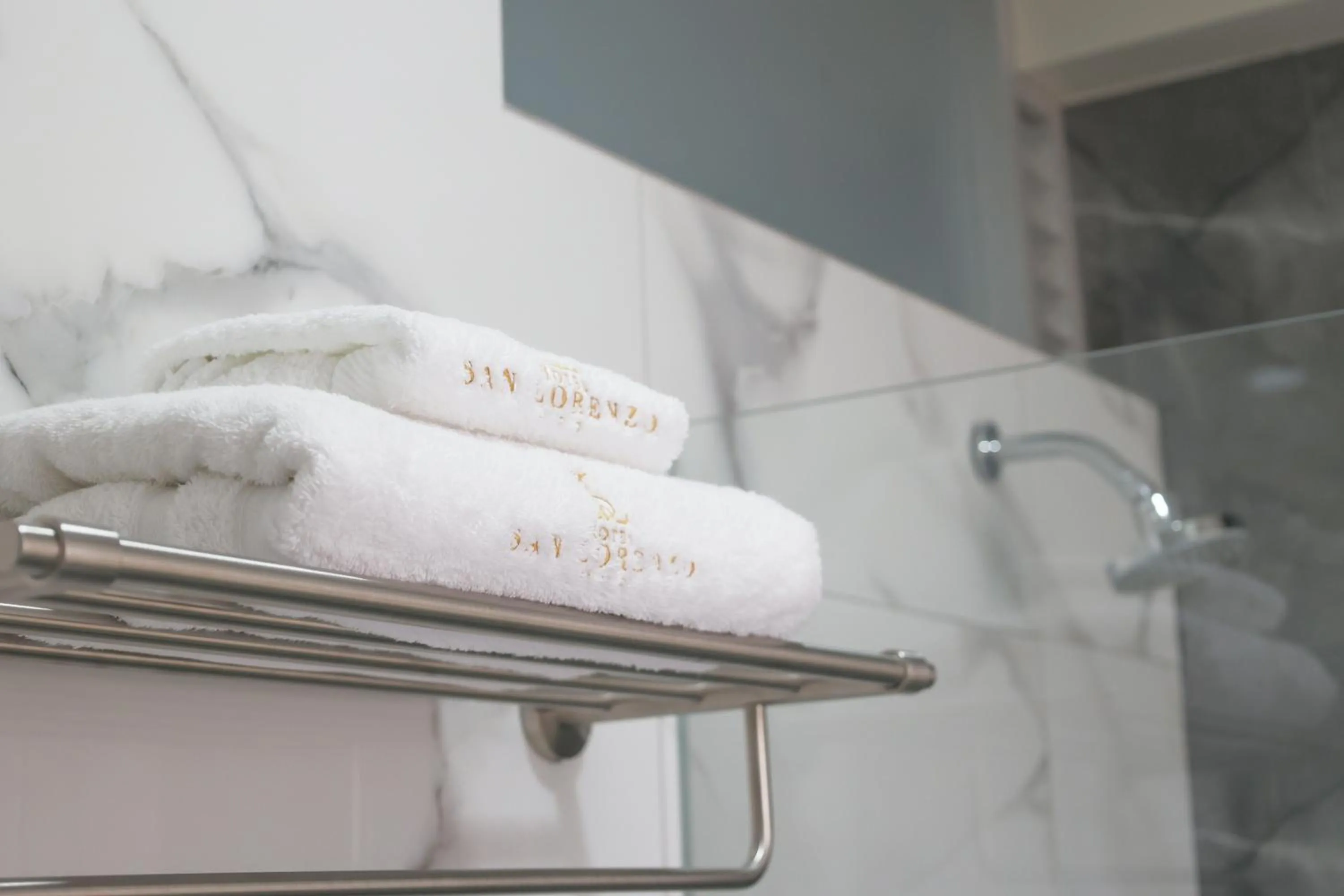 Shower in Hotel San Lorenzo