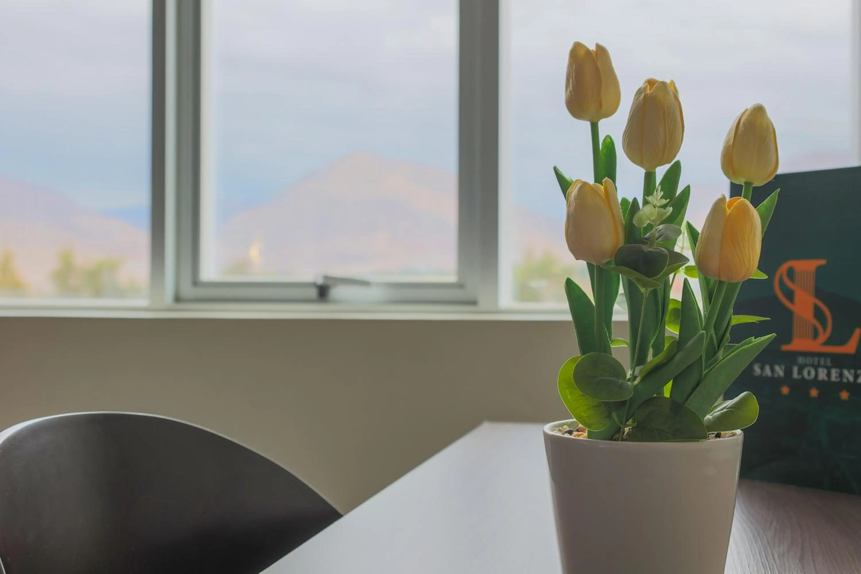 Mountain view in Hotel San Lorenzo