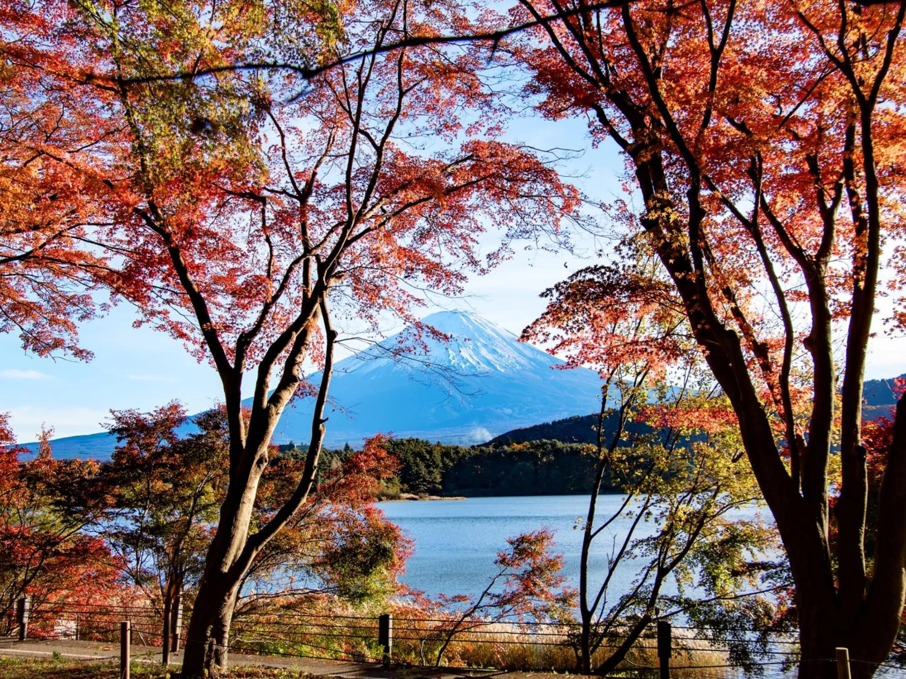 Nearby landmark in Rakuten STAY VILLA Yamanakako