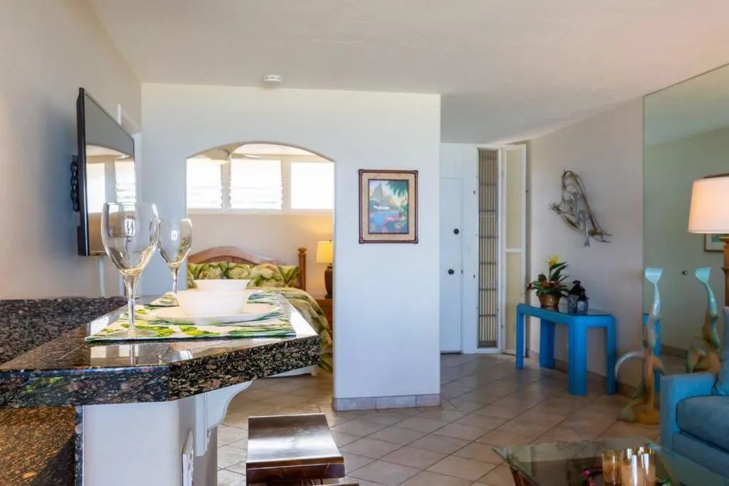 Hale Ono Loa 316- Upgraded Hale Ono Loa condo, expansive ocean views