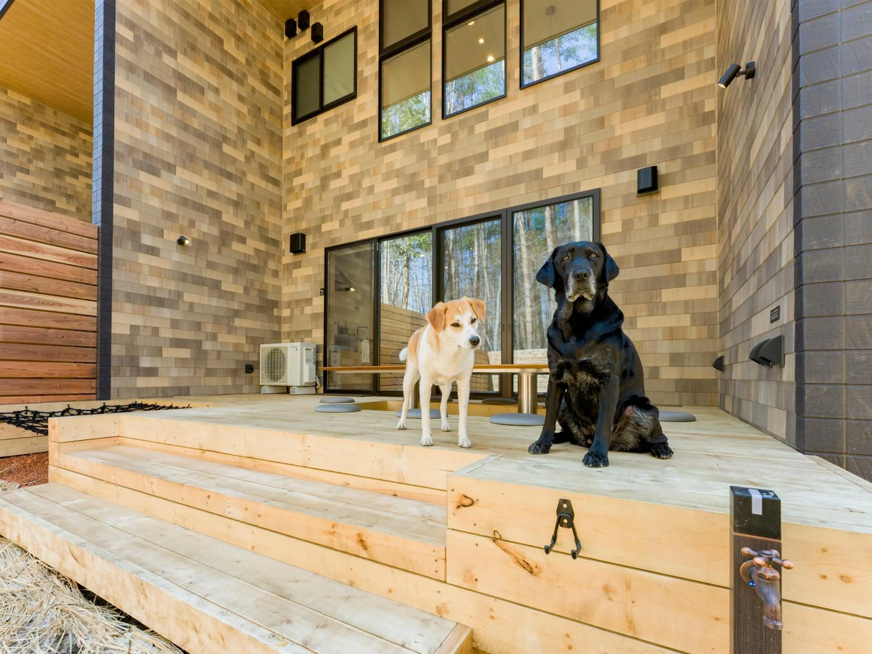 Pets in Rakuten STAY VILLA Fujikawaguchiko Forest