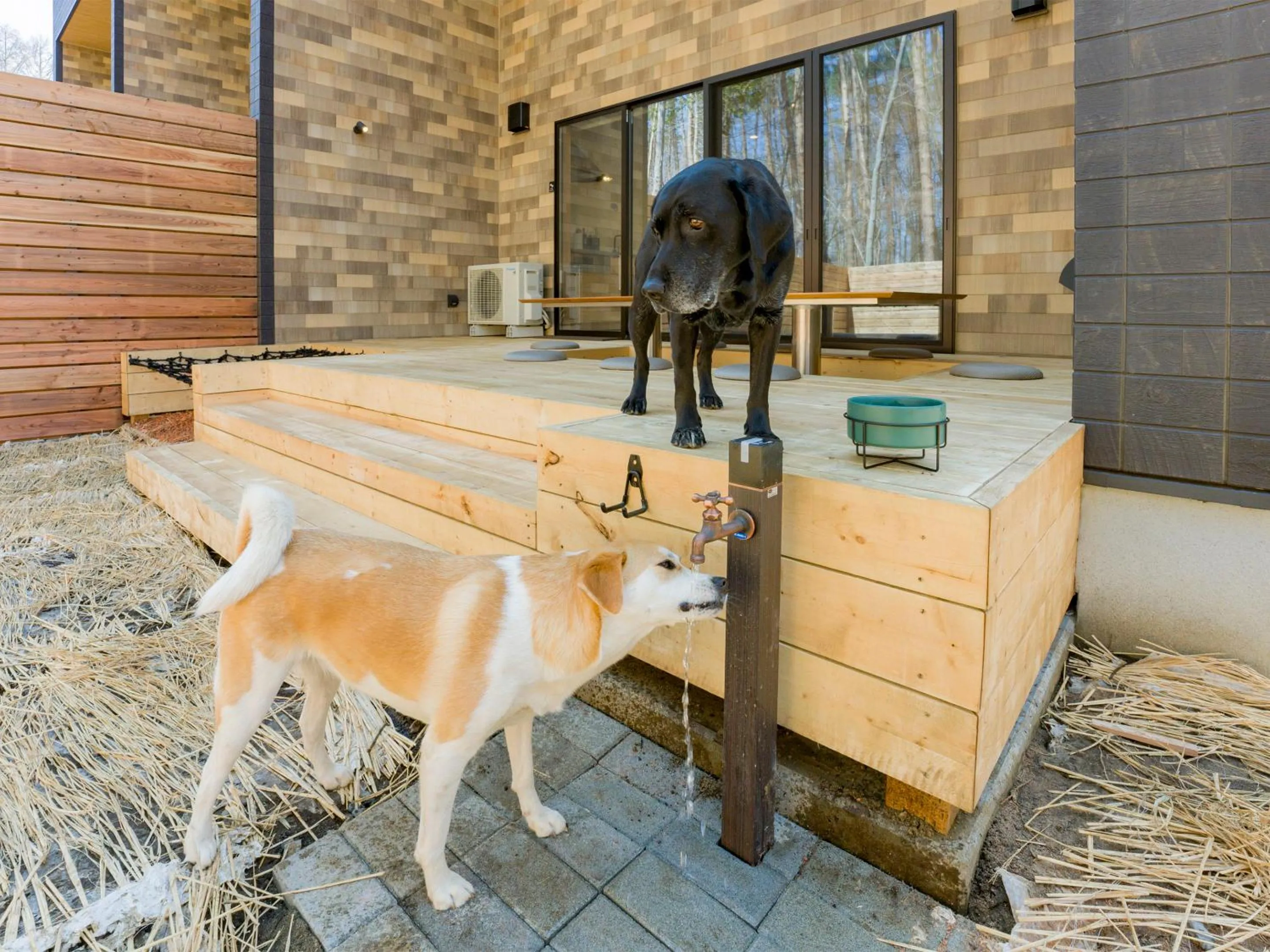 Pets in Rakuten STAY VILLA Fujikawaguchiko Forest