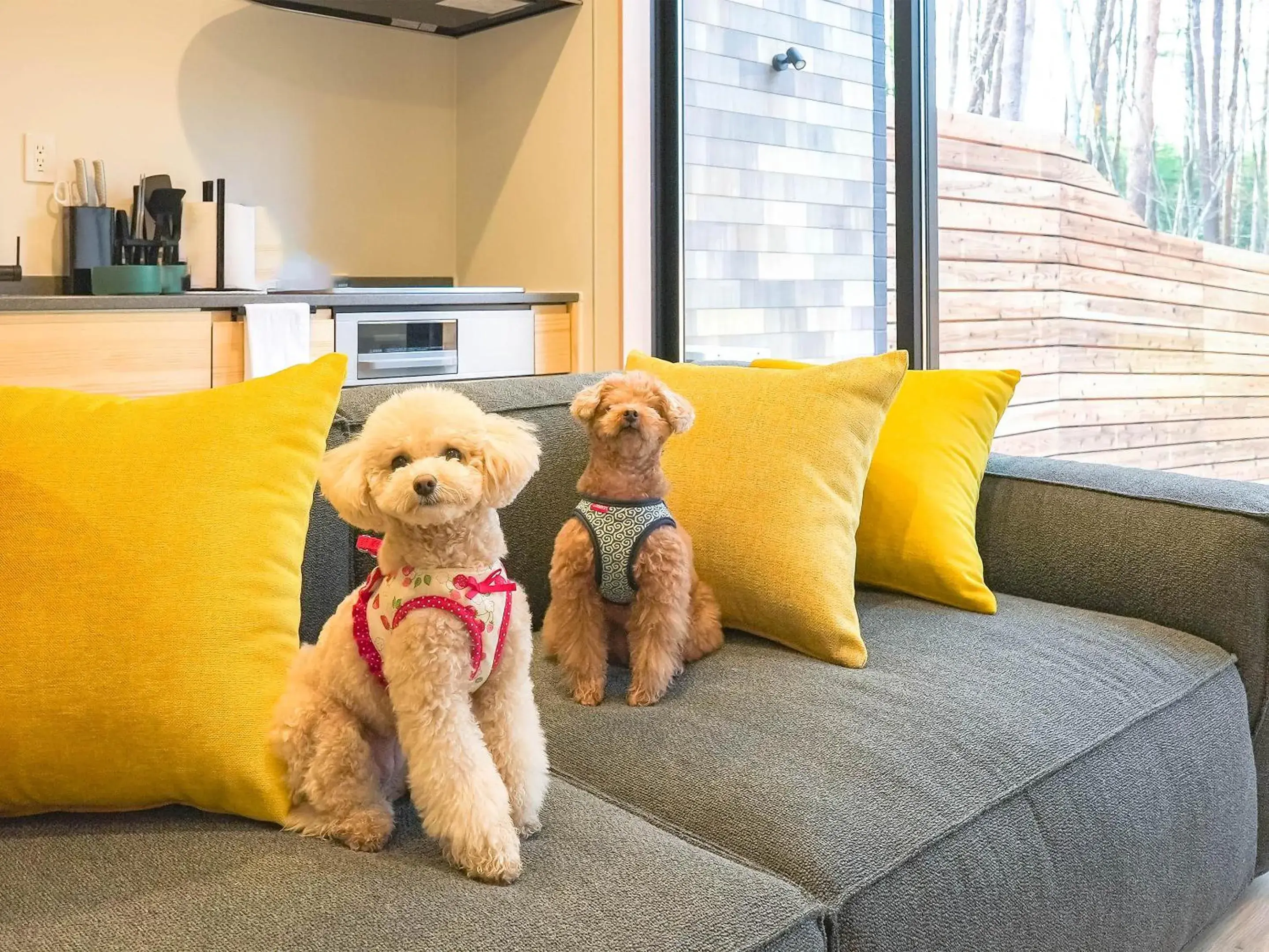 2LDK Maisonnette Villa with Sauna and Terrace Pet Friendly in Rakuten STAY VILLA Fujikawaguchiko Forest 2LDK Maisonnette Villa with Sauna and Terrace Pet Friendly in Rakuten STAY VILLA Fujikawaguchiko Forest