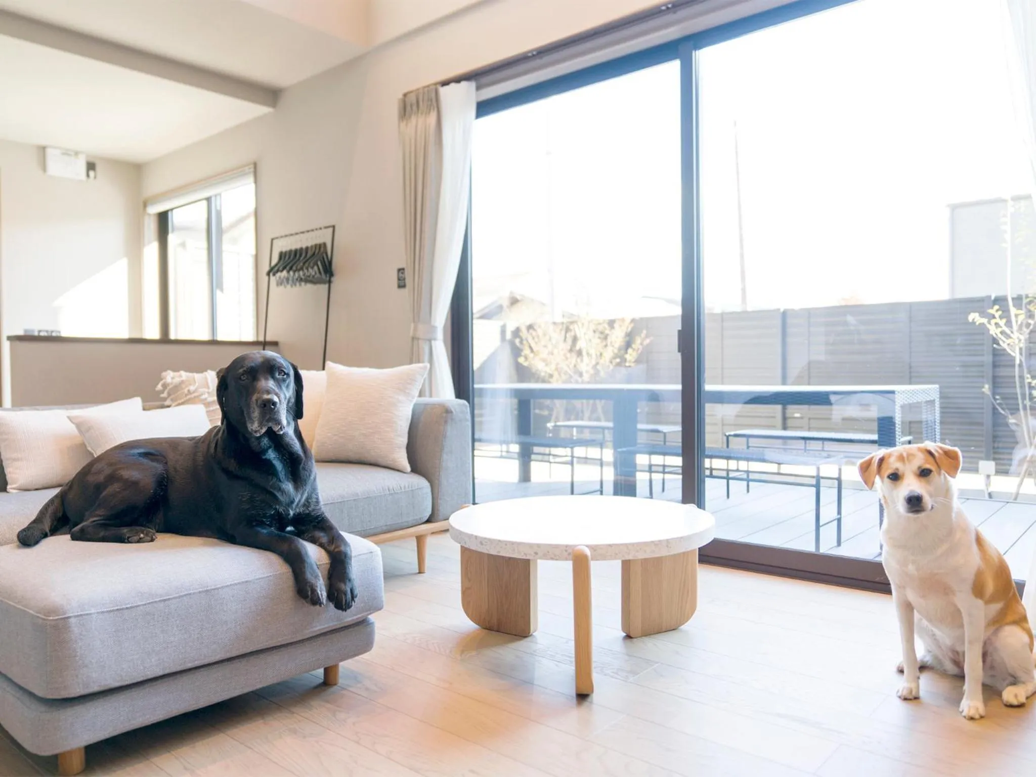 Living room in Rakuten STAY Fuji Kawaguchiko Station