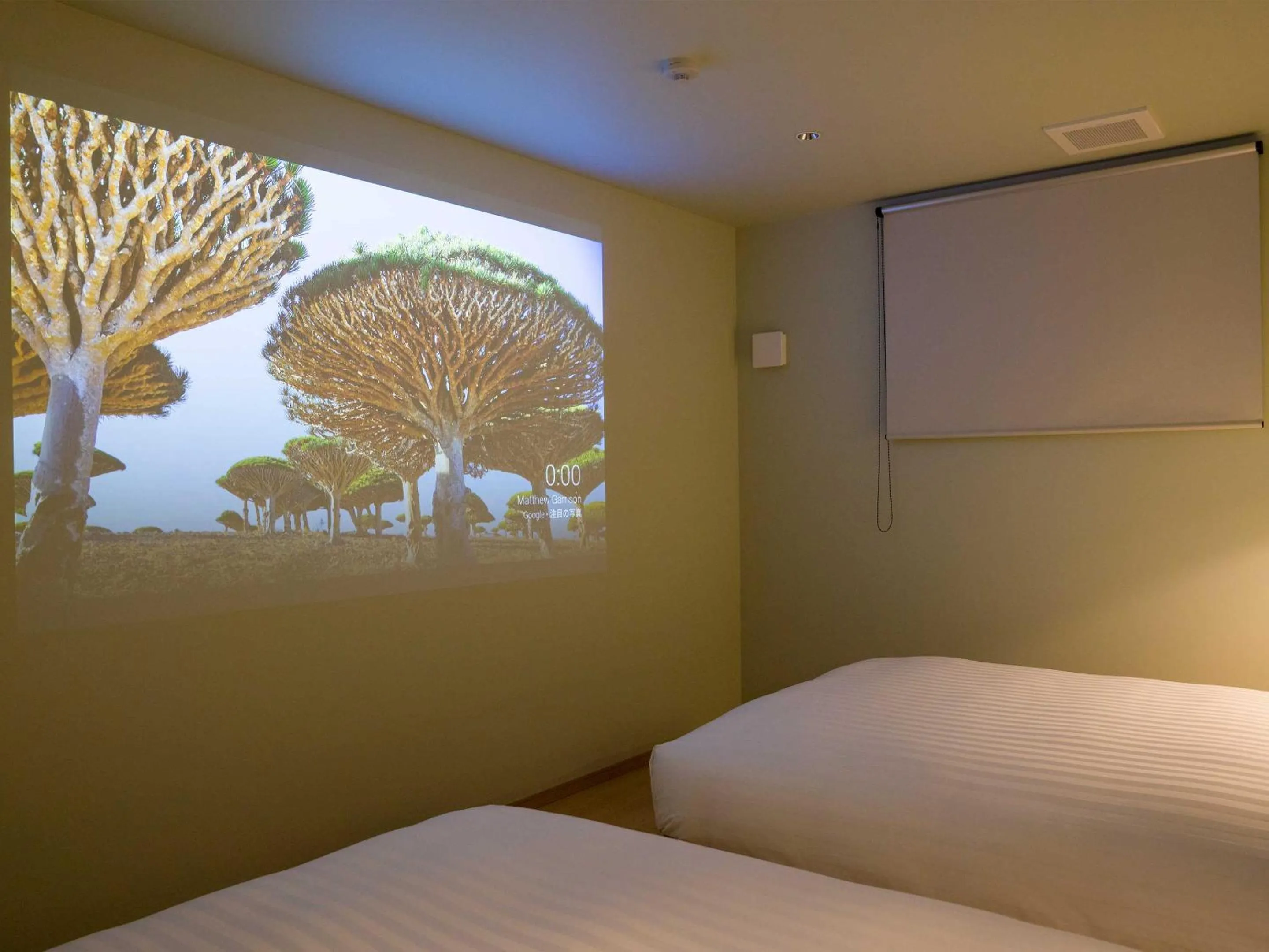TV and multimedia, Bed in Rakuten STAY VILLA Nasu