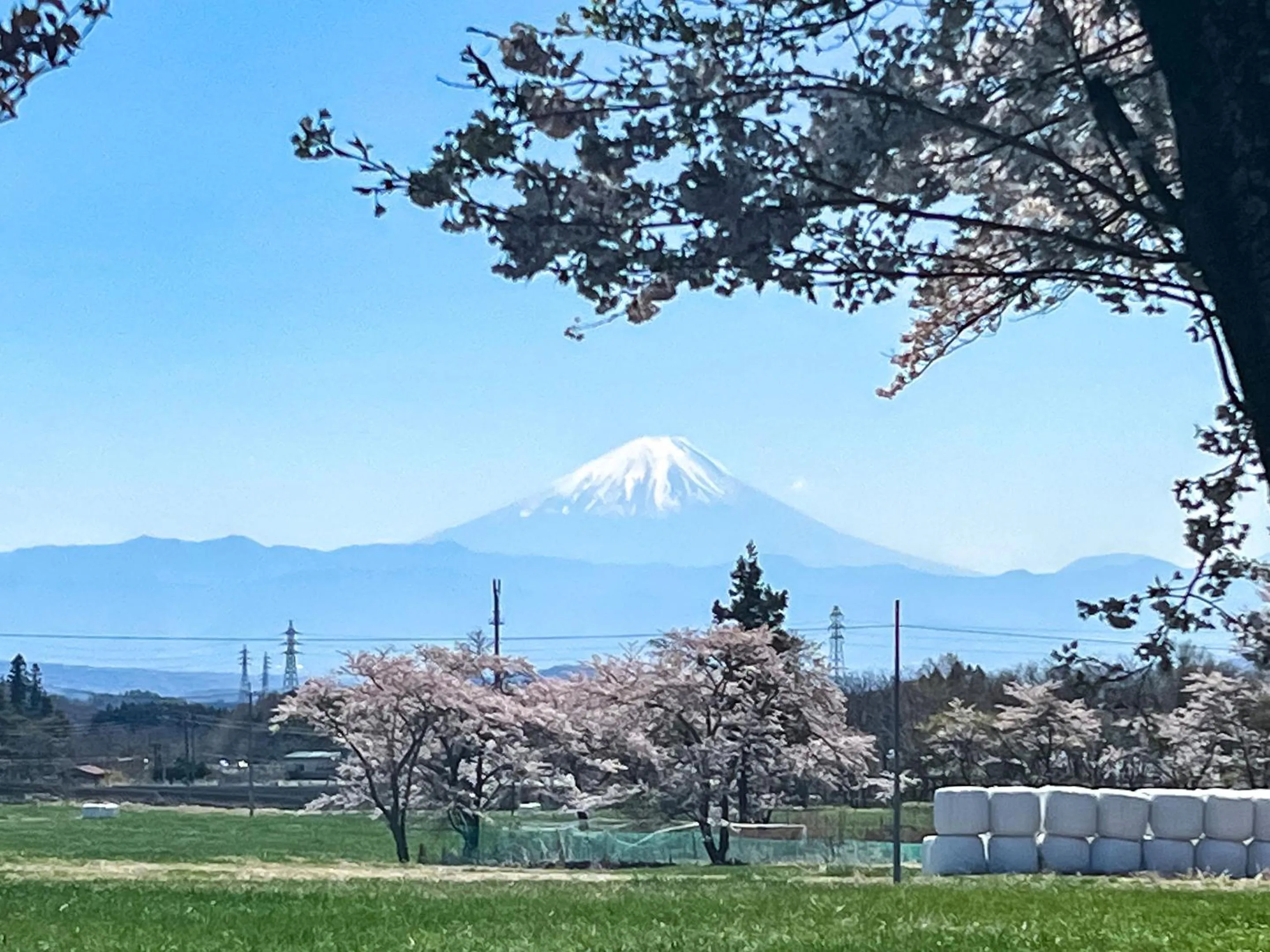 Natural landscape in Rakuten STAY VILLA Yatsugatake