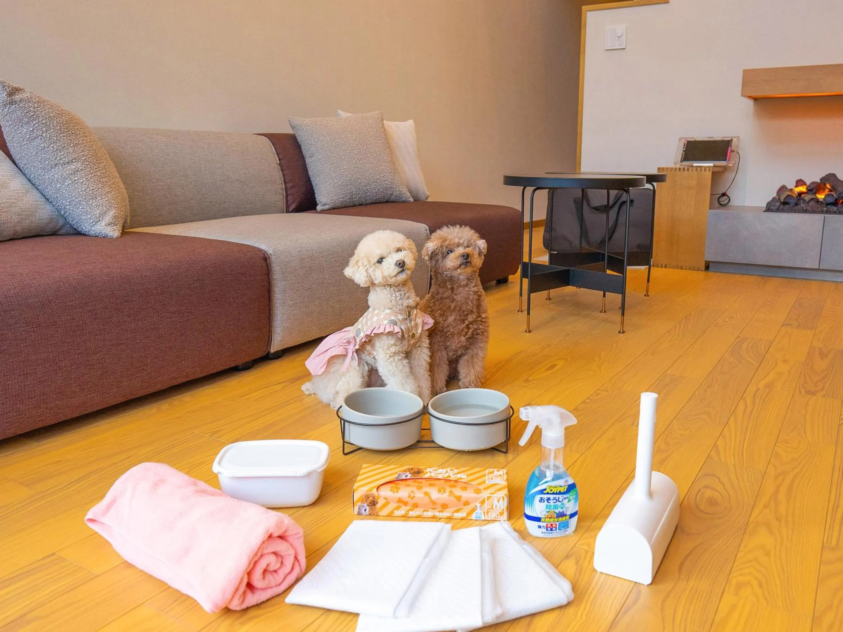 Animals in Rakuten STAY VILLA Yatsugatake