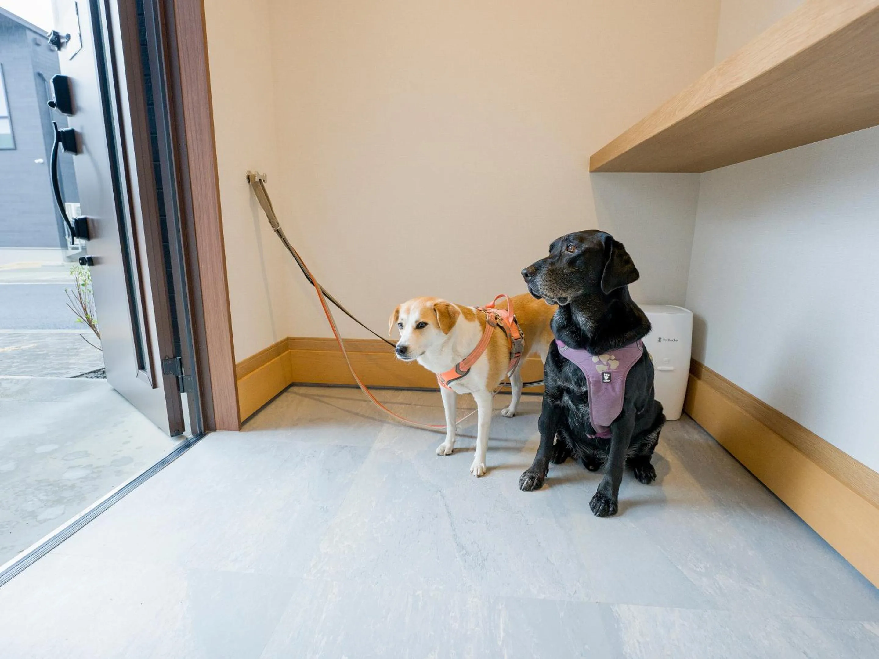 Animals in Rakuten STAY VILLA Yatsugatake