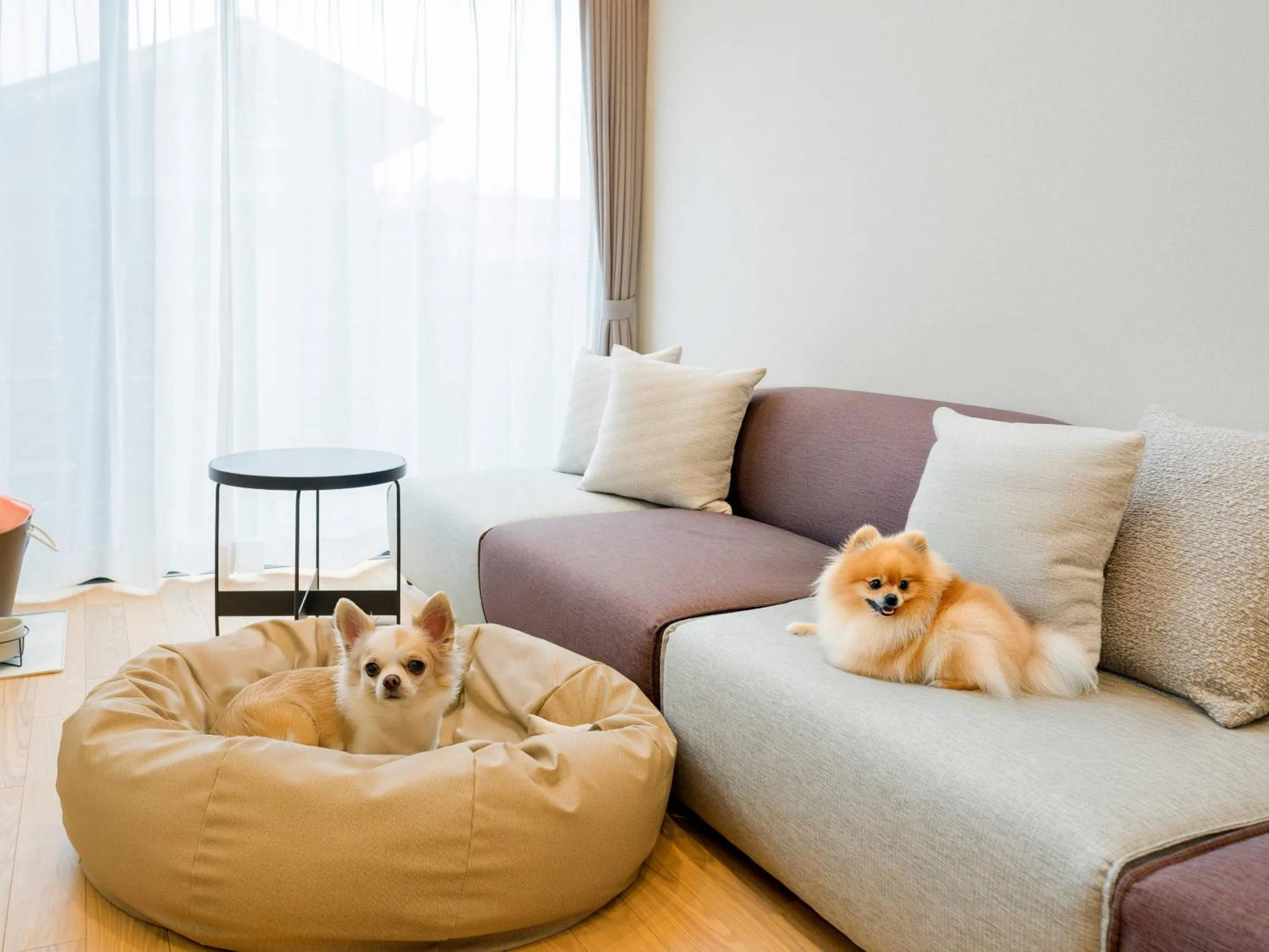 Living room in Rakuten STAY VILLA Yatsugatake