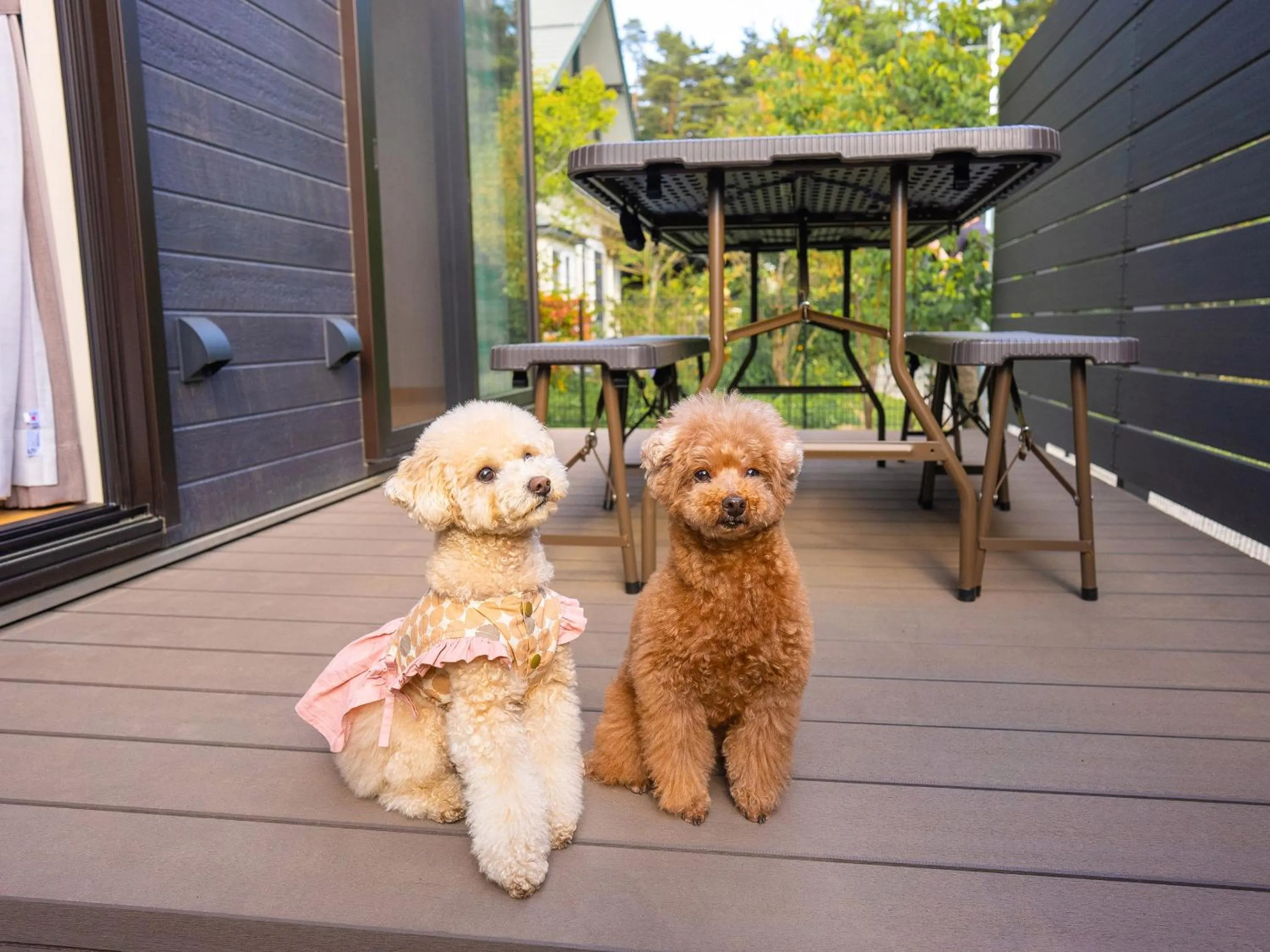 Balcony/Terrace in Rakuten STAY VILLA Yatsugatake