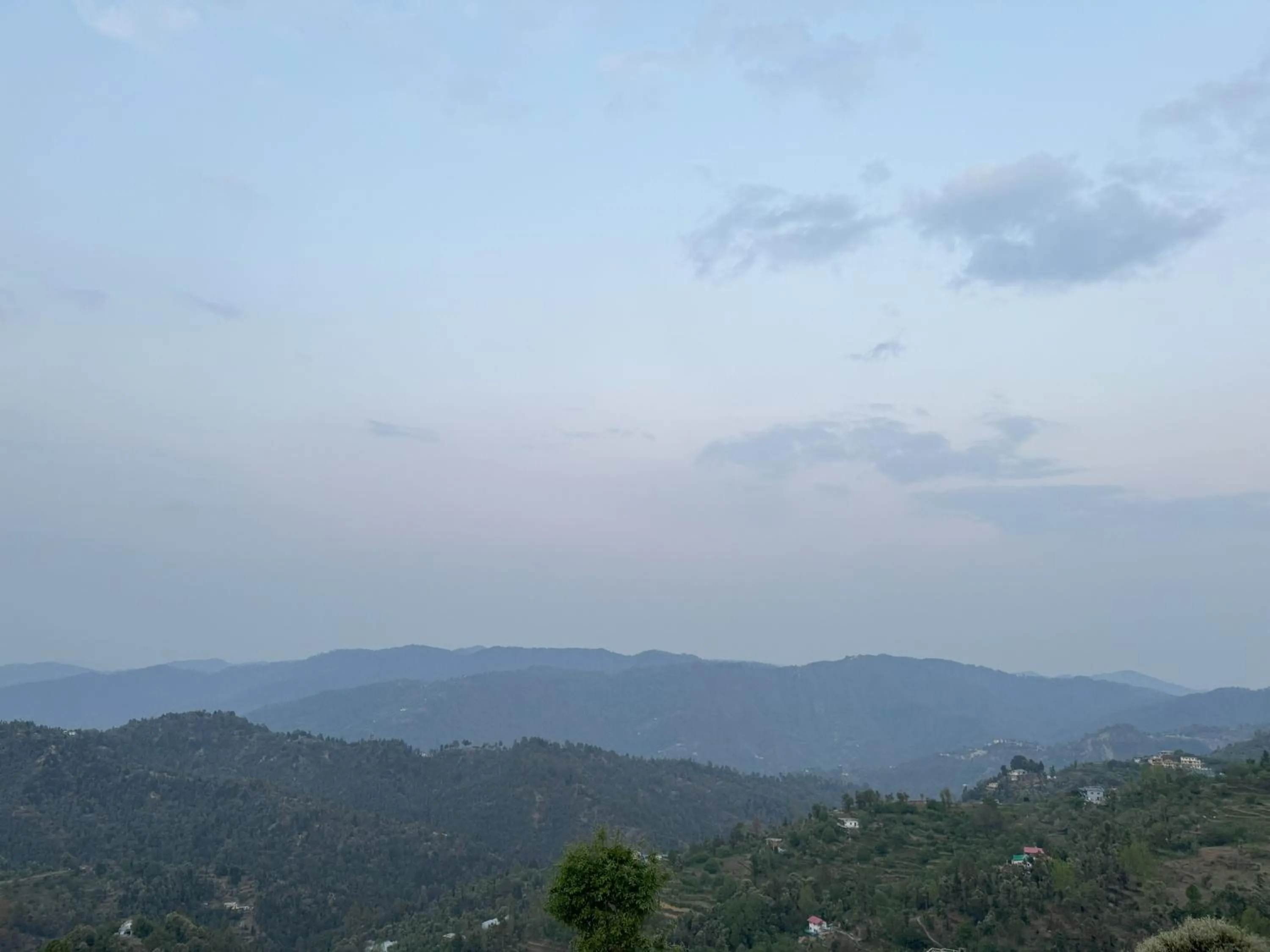 View (from property/room) in Wanderlust Mukteshwar