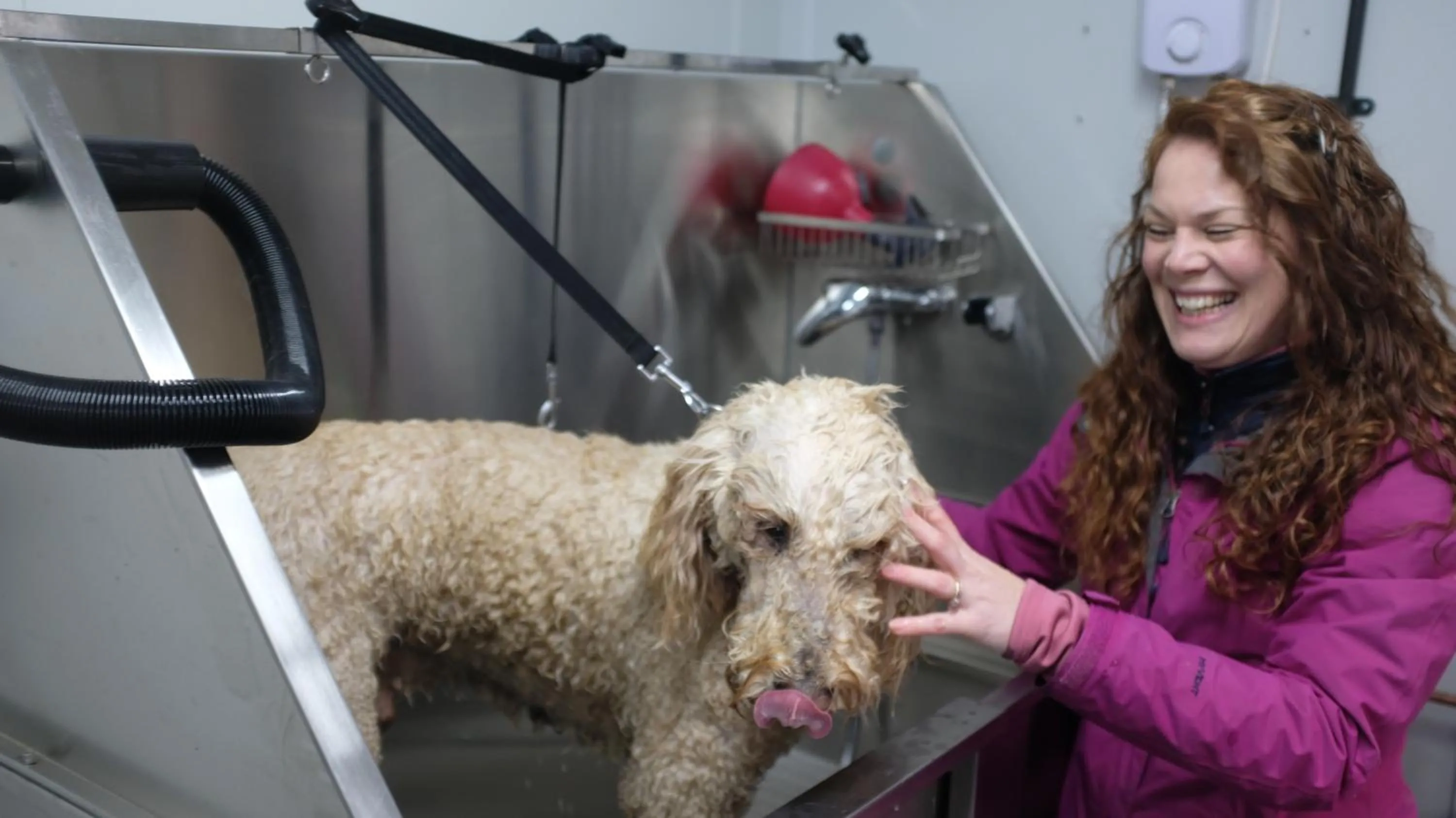 Animals in Bike & Boot Inns Peak District - Leisure Hotels for Now