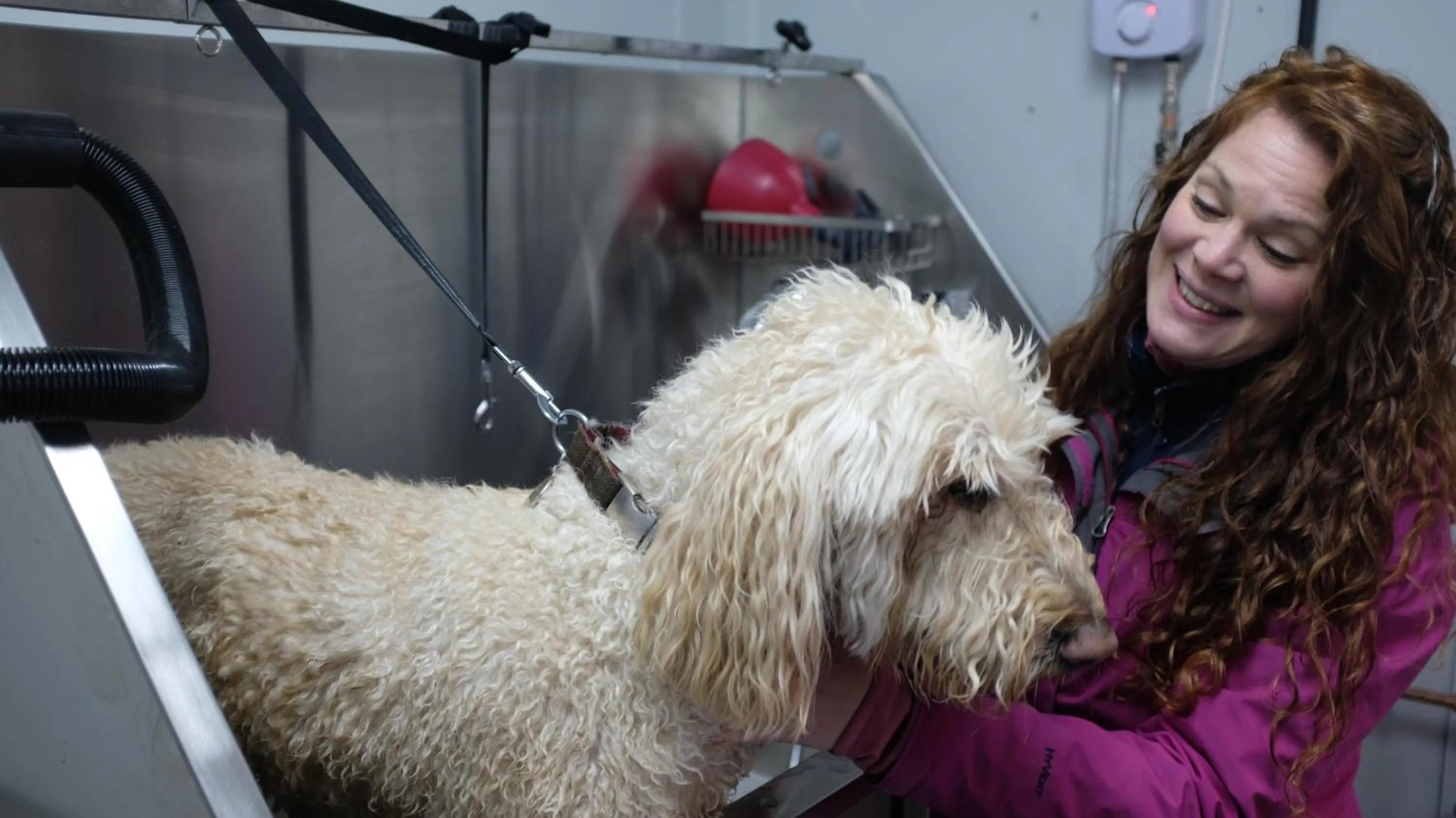 Animals in Bike & Boot Inns Peak District - Leisure Hotels for Now