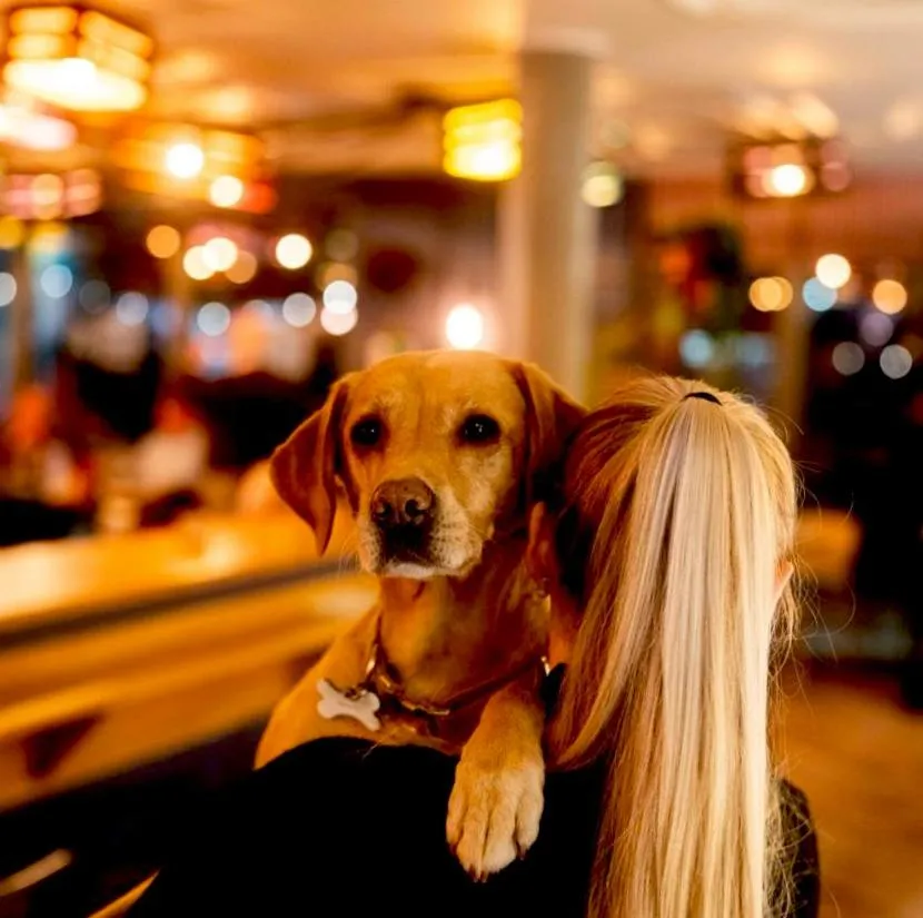 Restaurant/places to eat in Bike & Boot Inns Peak District - Leisure Hotels for Now