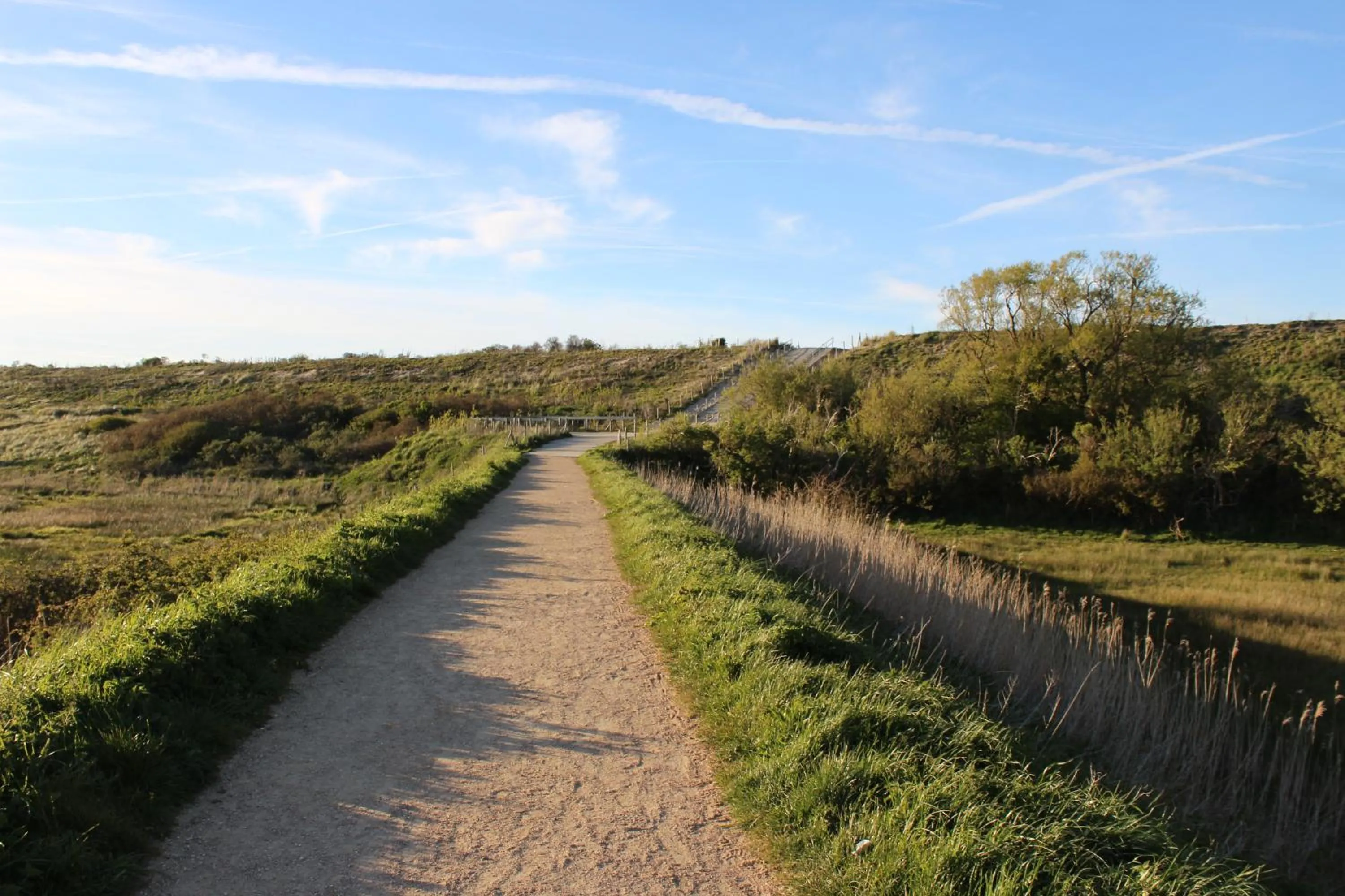 Natural landscape in Hotel Restaurant 't Klokje