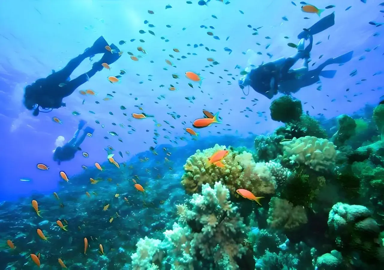 Nearby landmark in Kzn Park View Guest House Nearby landmark in Kzn Park View Guest House