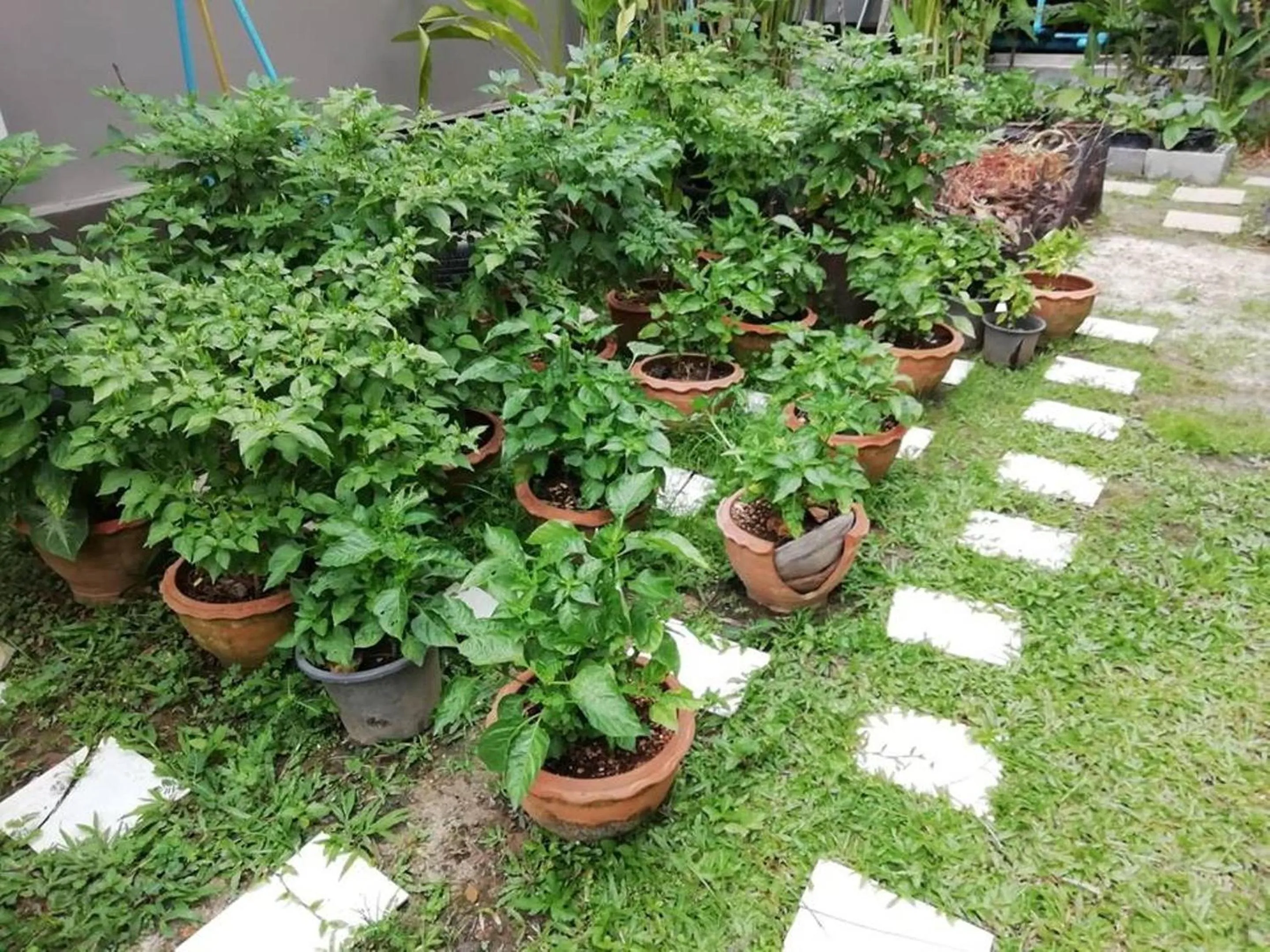 Natural landscape in Lanta Wanida Resort